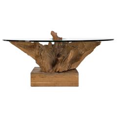 Stunning Circular Root and Glass Dining Table