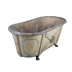 English Regency Zinc Bath