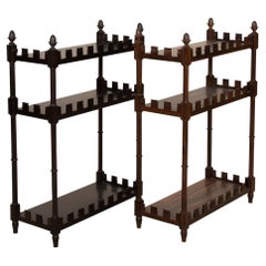 Pair of Early 20th Century Ebony and Coromandel Open Shelves
