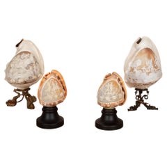 Set of Four 19th Century Italian Cameo Carved Conch Shell Lamps