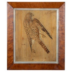 Naturaleza muerta con un cernícalo - Discípulo de Johannes Leemans (1633-1688)