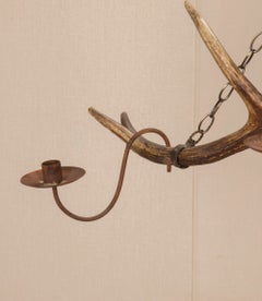 19th Century German Black Forest Lusterweibchen Chandelier