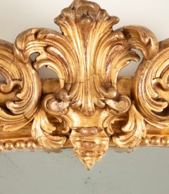 Huge 19th Century French Louis Philippe Mirror