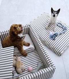 Cama para perros Hyde - Lista para comprar