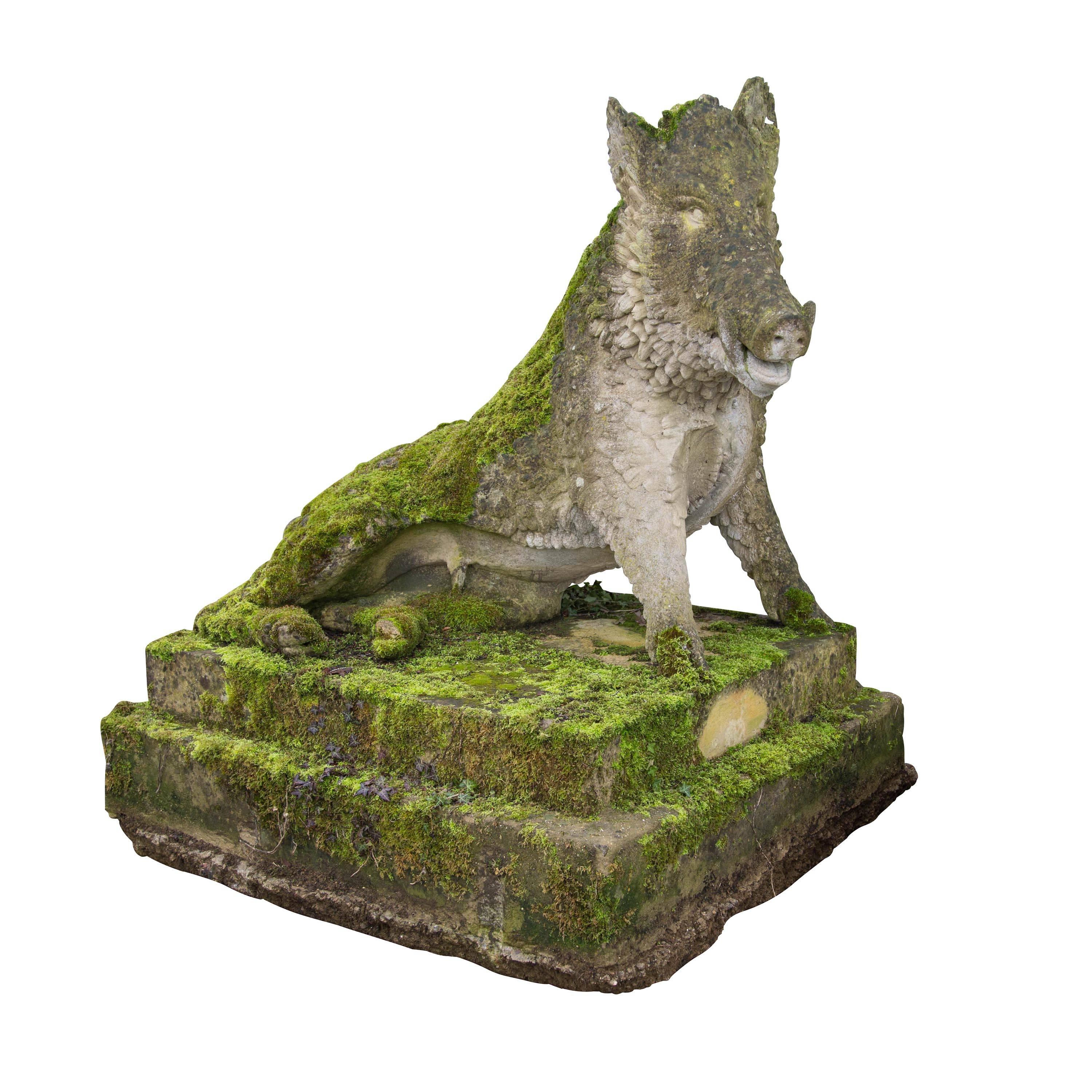 A large late 20th century composition stone boar. Also known as the Florentine boar, this famous animal sculpture can be seen as monumental public statues throughout Italy, and Europe, even as local to us, as Derby. The original Greek sculpture has