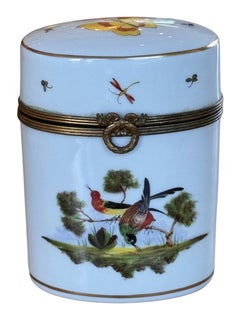 Vintage Sèvres Porcelain Oval Box with Painted Birds and Butterfly