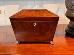 Sarcophagus Form Tea Caddy with Brass Paw Feet