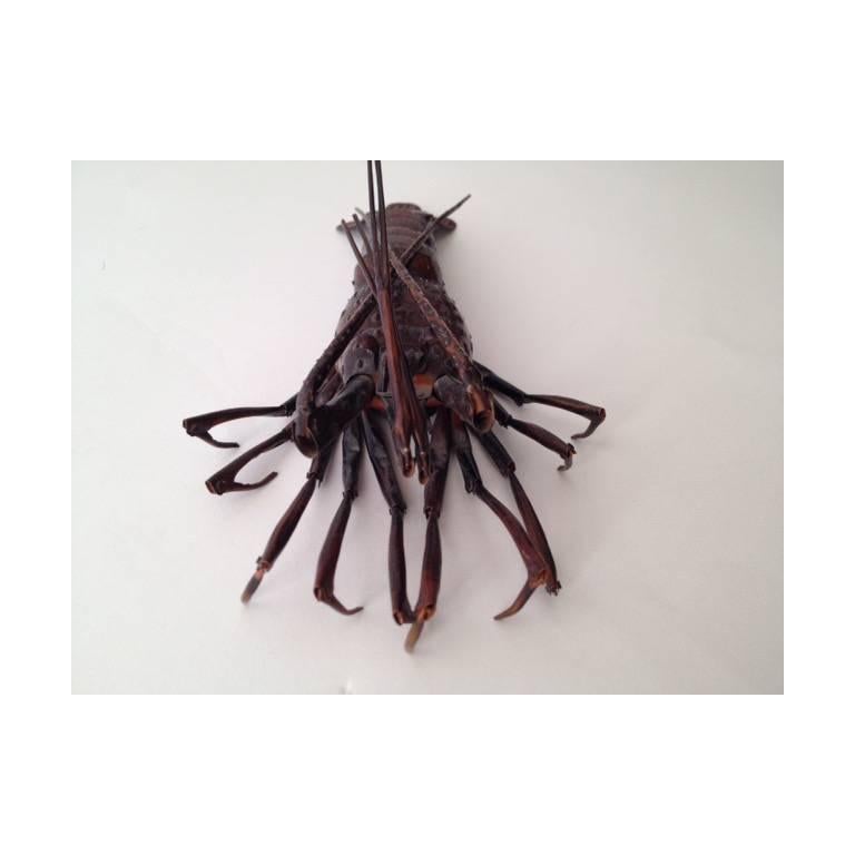 Fantastic Meiji Period Fully Articulated Patinated Copper Crawfish, circa 1900 2