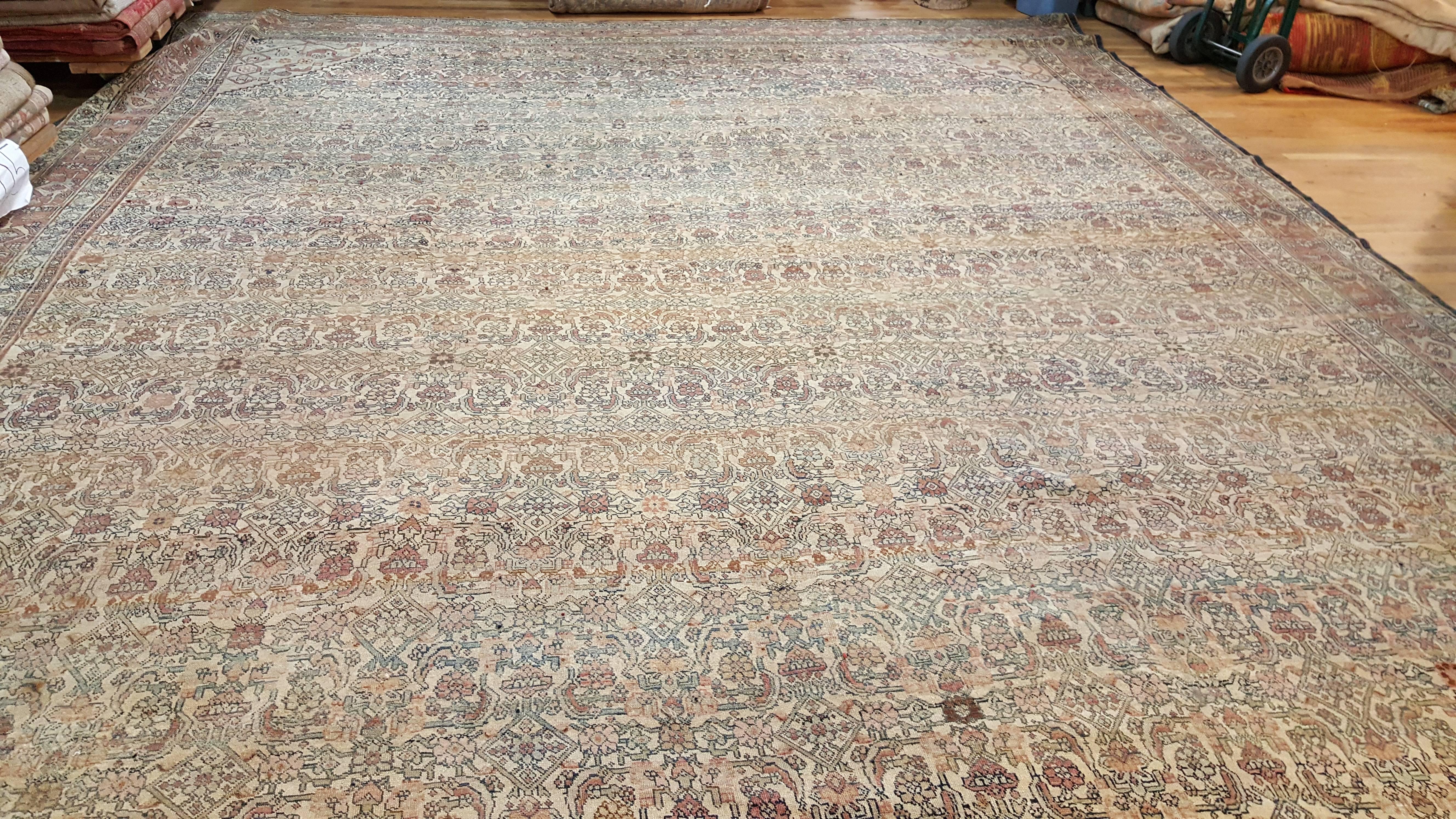 Antique Bijar Carpet Oriental Rug, Handmade, Ivory and Light Blue, Terracotta 2