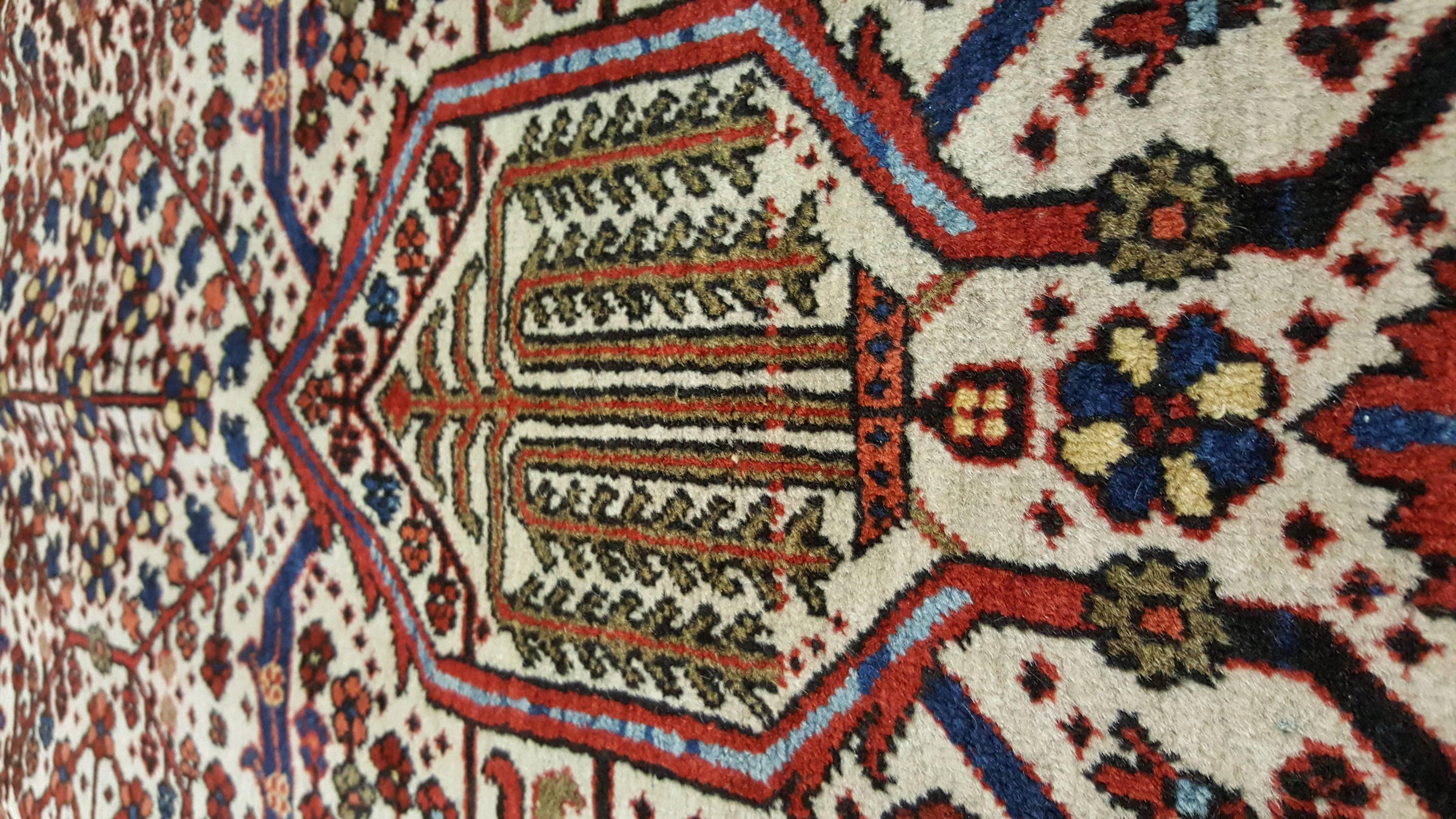 Hand-Knotted Antique Joshagan Carpet