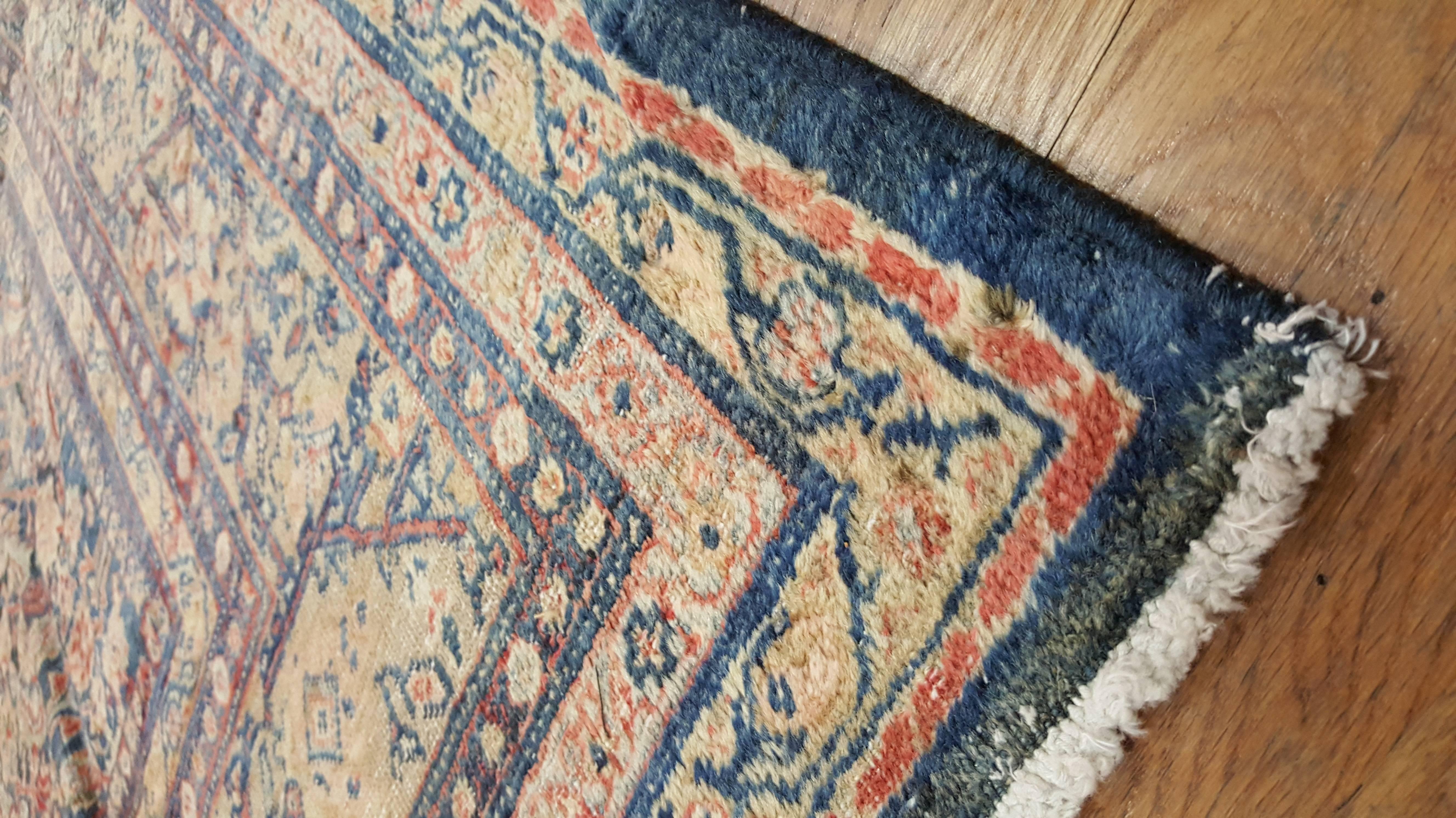 light blue persian rug