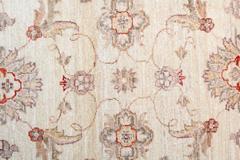 Beige Oriental Rug Hand Made Carpet Living room Rugs for Sale