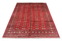 Pakistani Bukhara Rugs