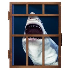 Michael Muller, Sharks, Limited Edition Signed Photography Book in Metal Cage