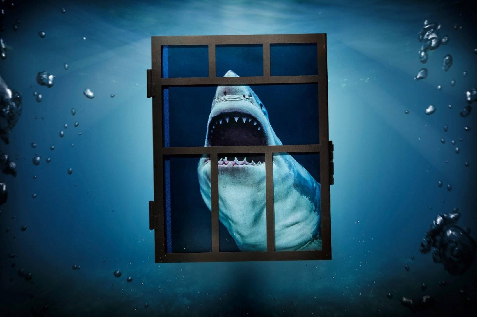 Michael Muller, Sharks, édition d'art n° 1-100 
