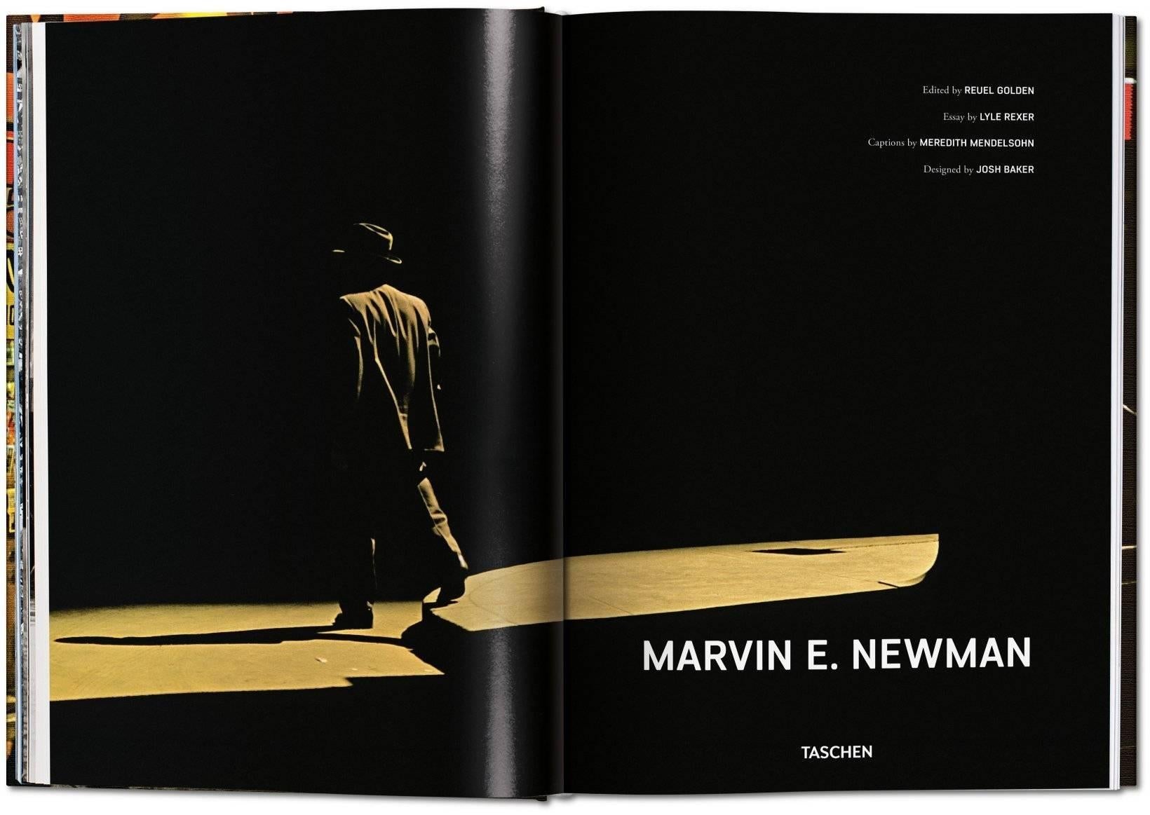 Marvin E. Newman im Zustand „Hervorragend“ im Angebot in Los Angeles, CA