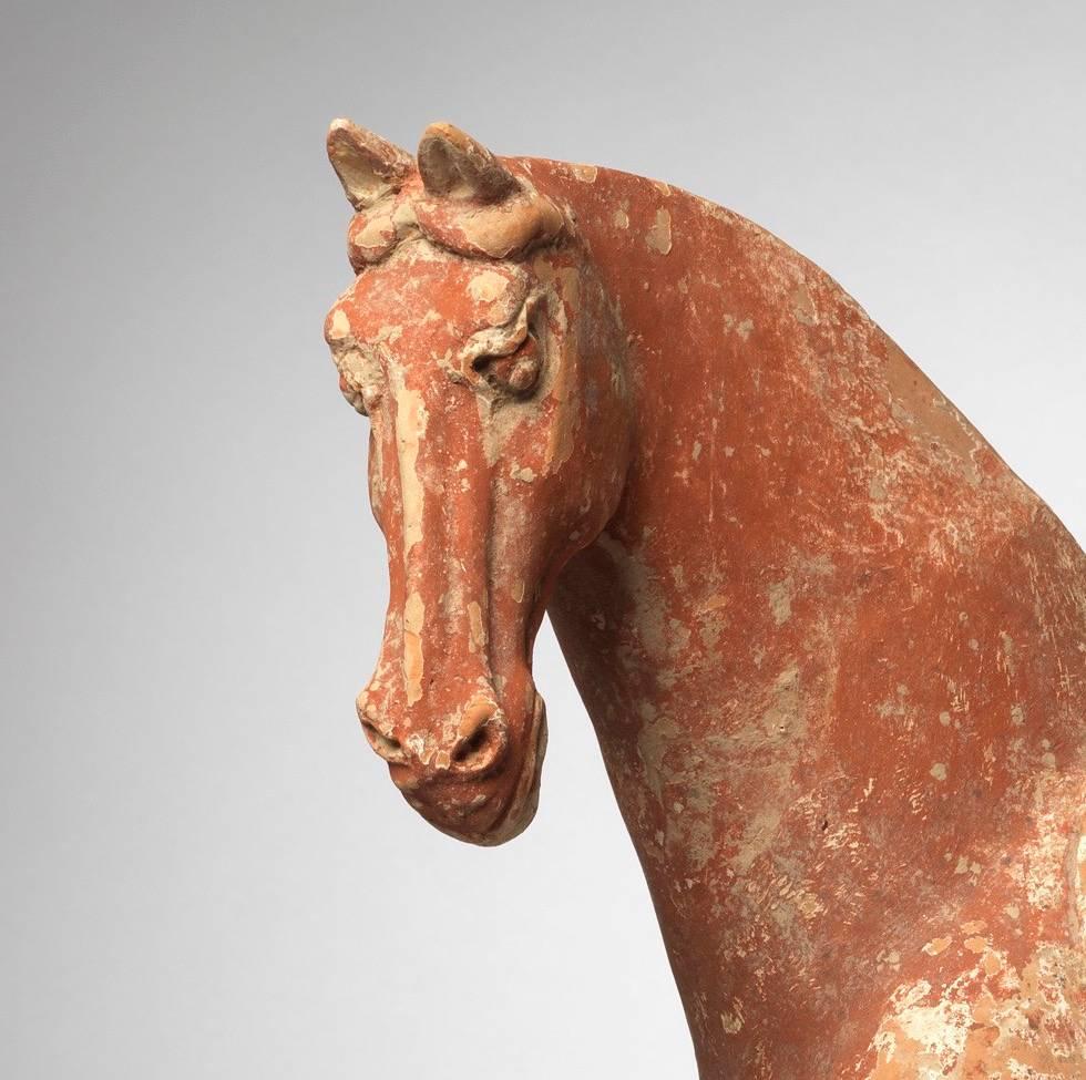 A very finely modelled Tang Dynasty terracotta model of a horse with saddle. 

A copy of an Oxford Authentication Thermoluminescence Report that estimates the horse was made between 900 and 1500 years ago can be provided upon request.

These pottery