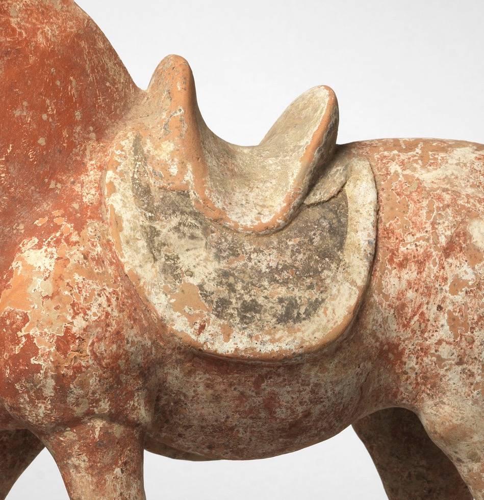 18th Century and Earlier Tang Dynasty Chinese Terracotta Model of a Horse