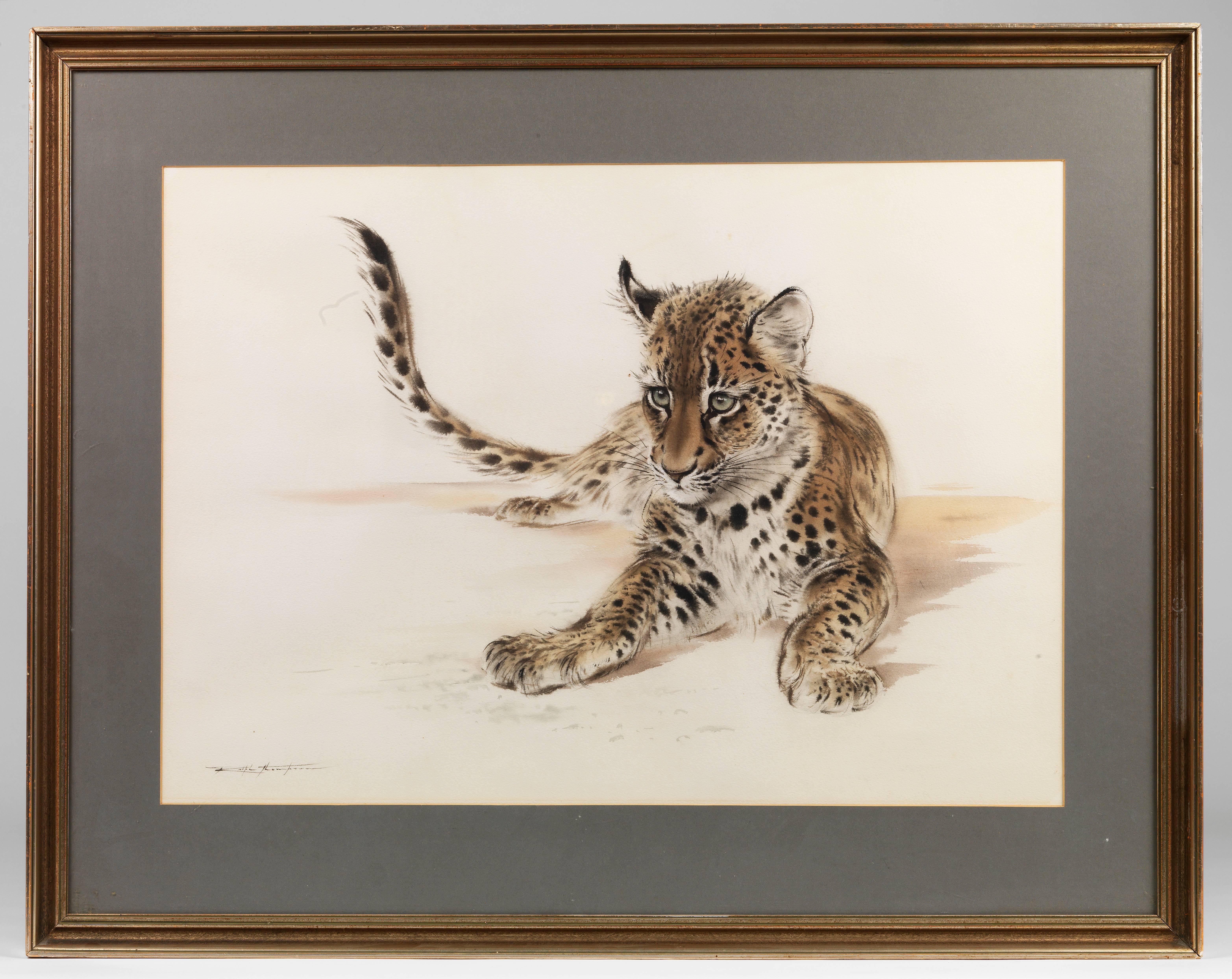 English Lion Cub Watercolour by Ralph Thompson MBE For Sale