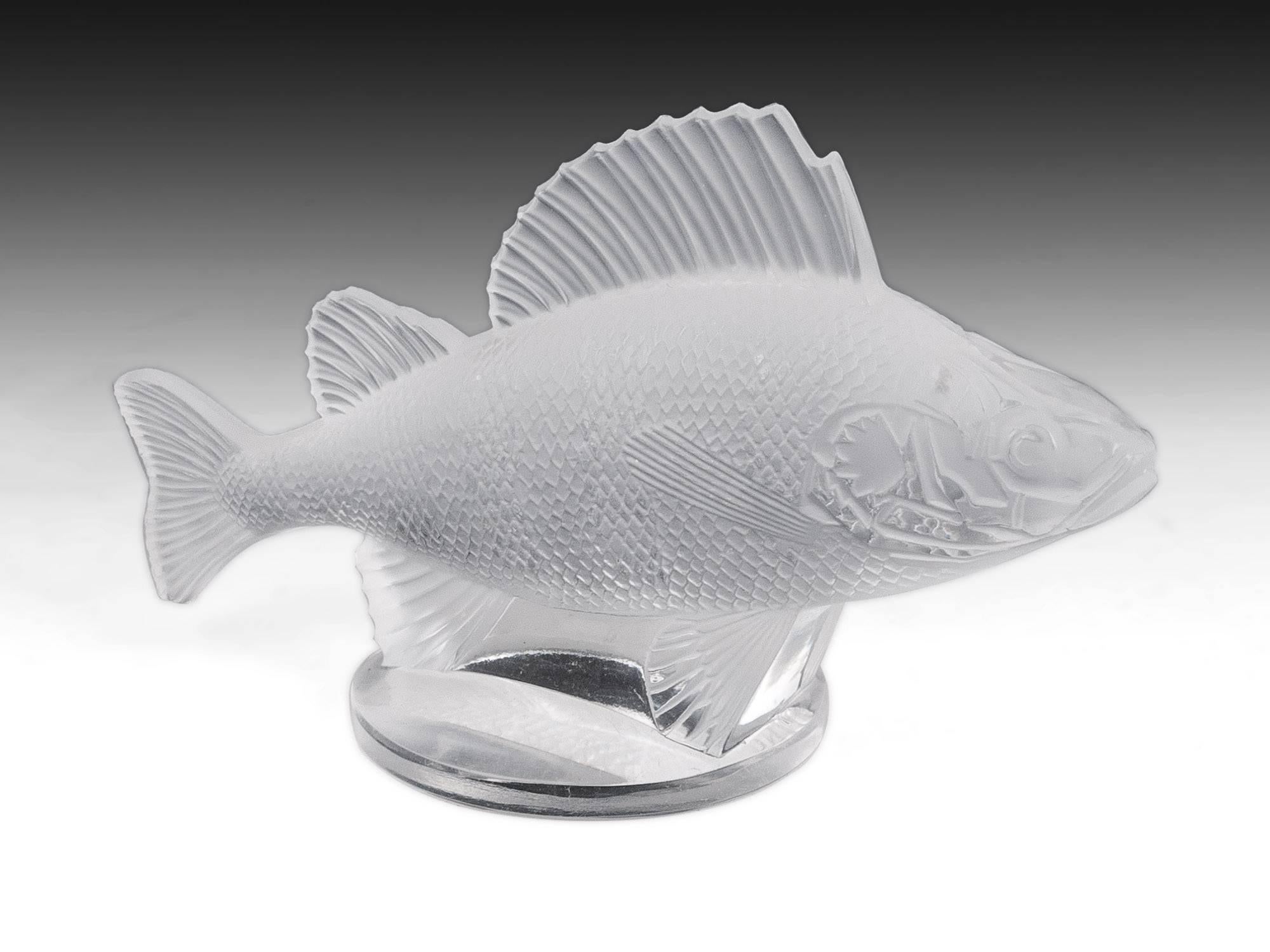 Small Lalique Perche Poisson / perch fish car mascot. Model number: 1158.

These are made as car hood ornaments in the 1920s by famous glass make René Jules Lalique, who started a company using his own name, which still creates Fine glassware