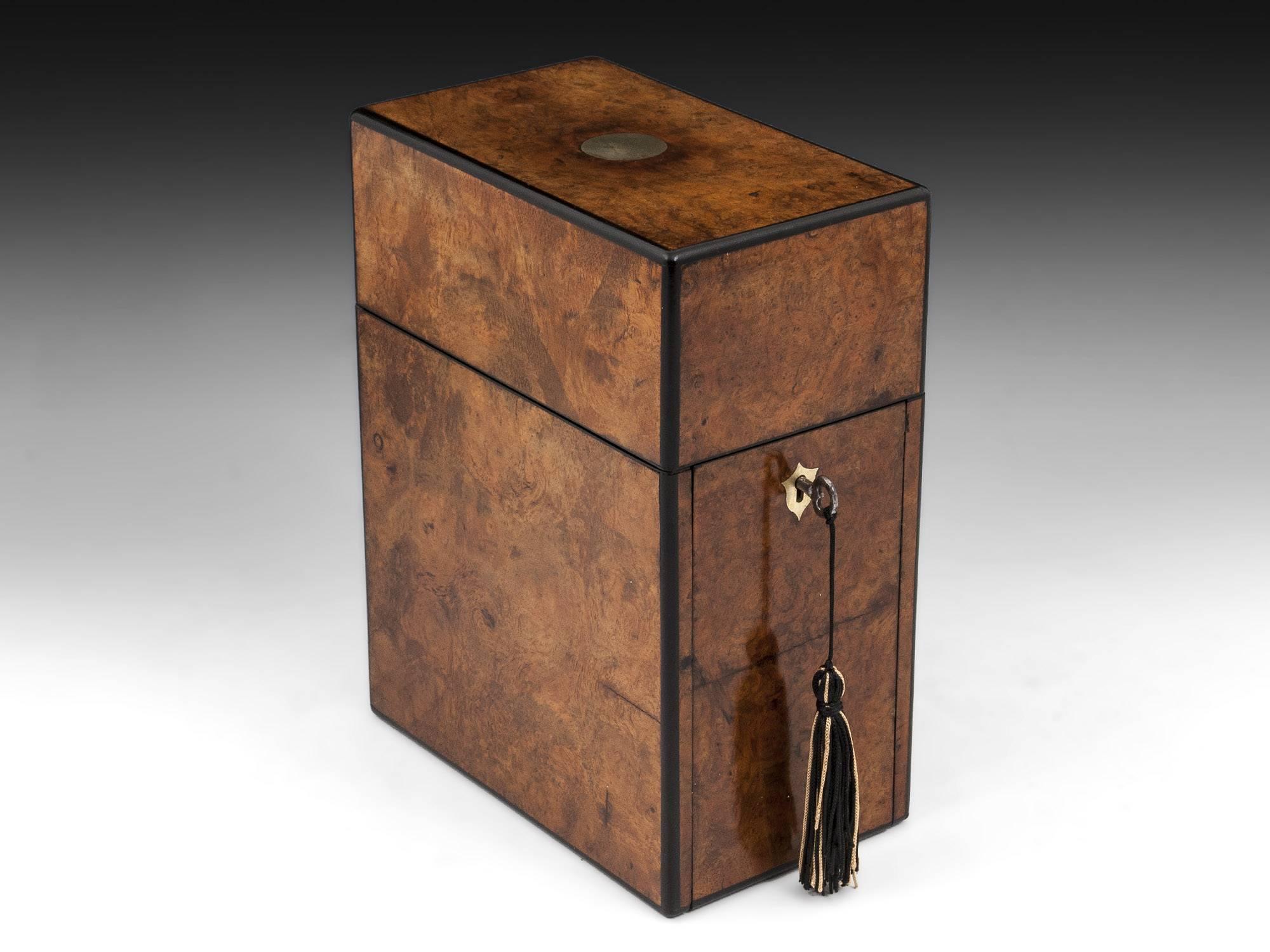 Antique Burr Walnut Ebony Edged Single Decanter Box, 19th Century 4