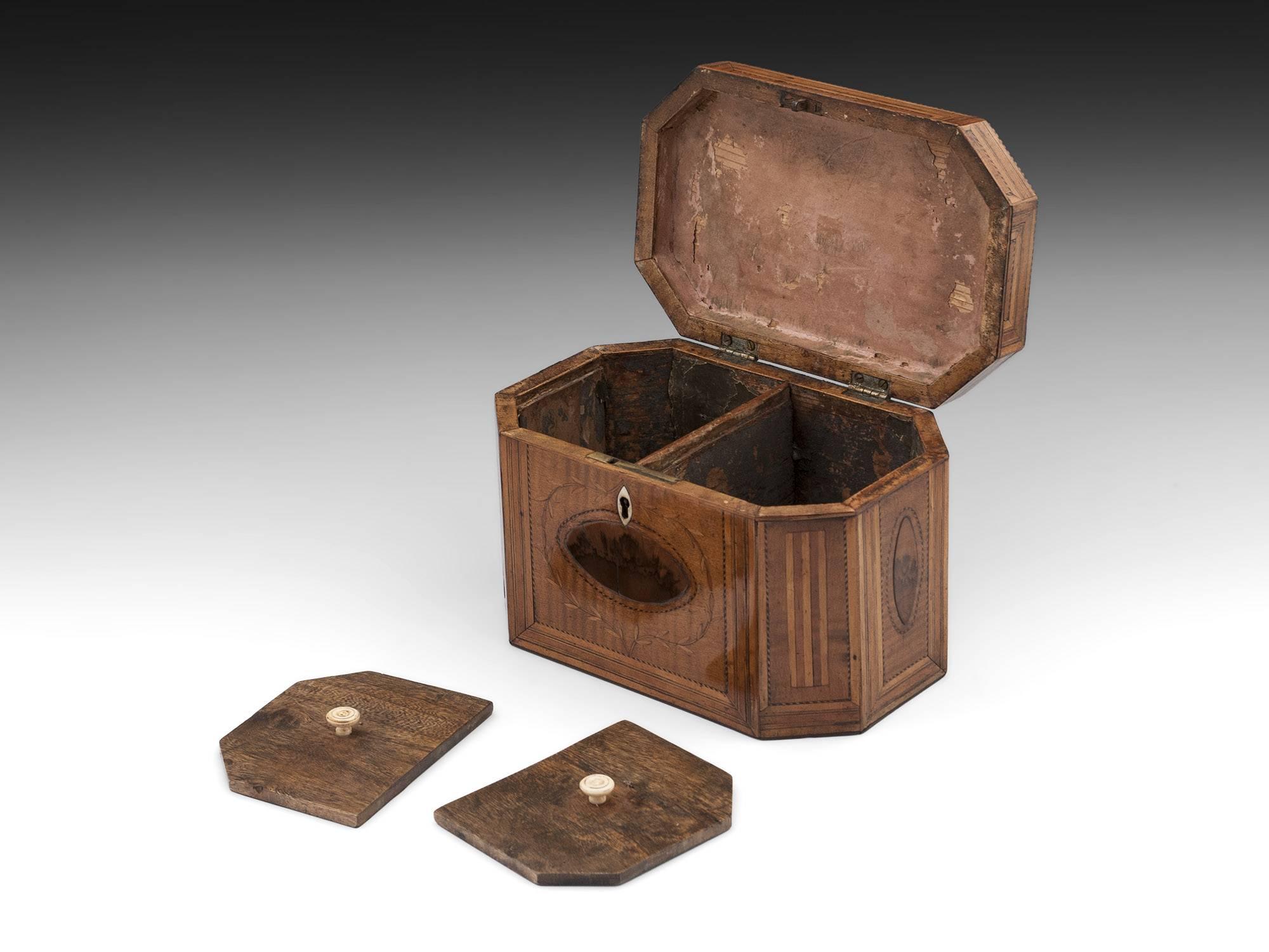 Antique Georgian Harewood Tea Caddy with Blackthorn Oysters, 18th Century 2