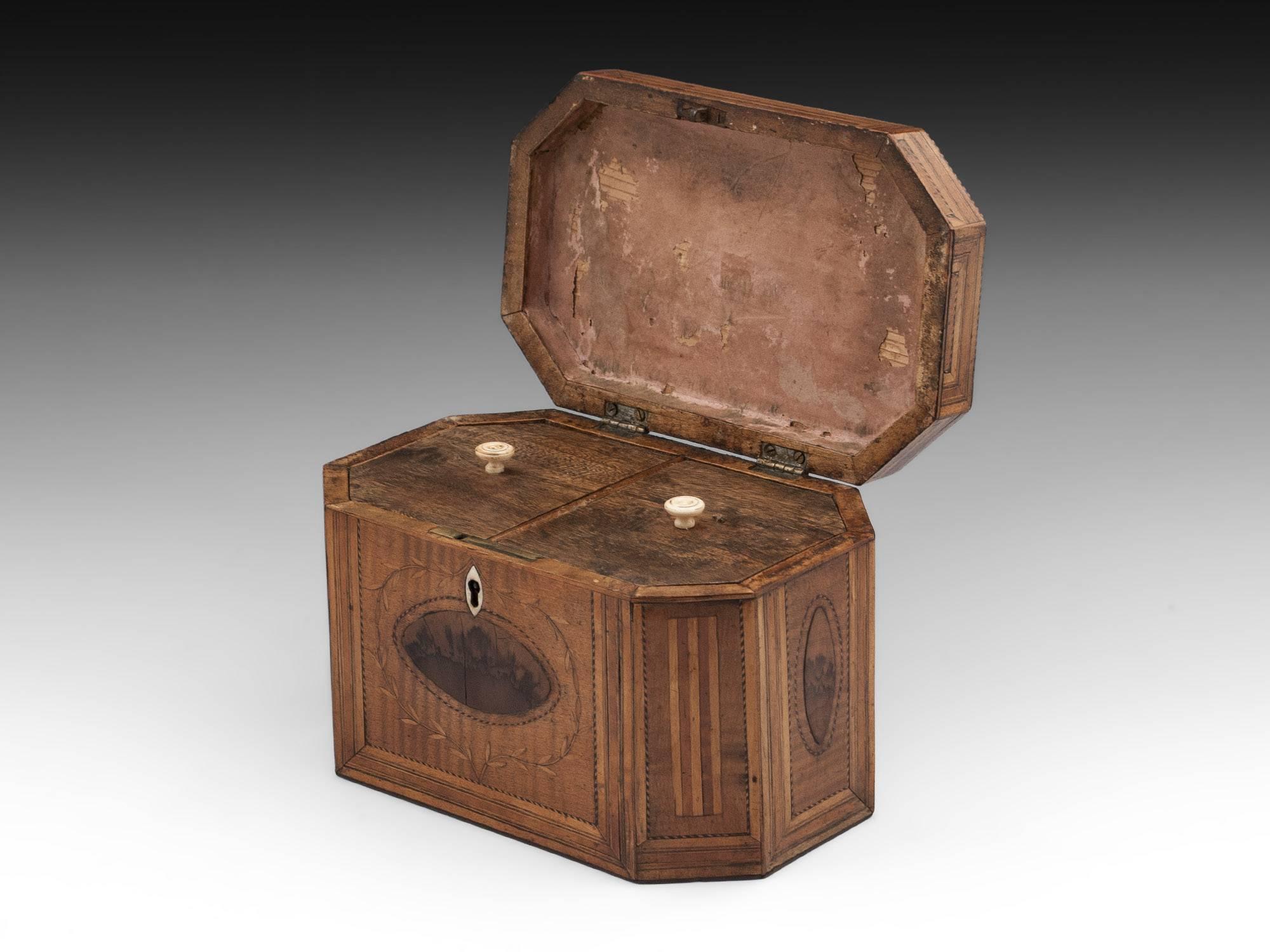 Antique Georgian Harewood Tea Caddy with Blackthorn Oysters, 18th Century 1