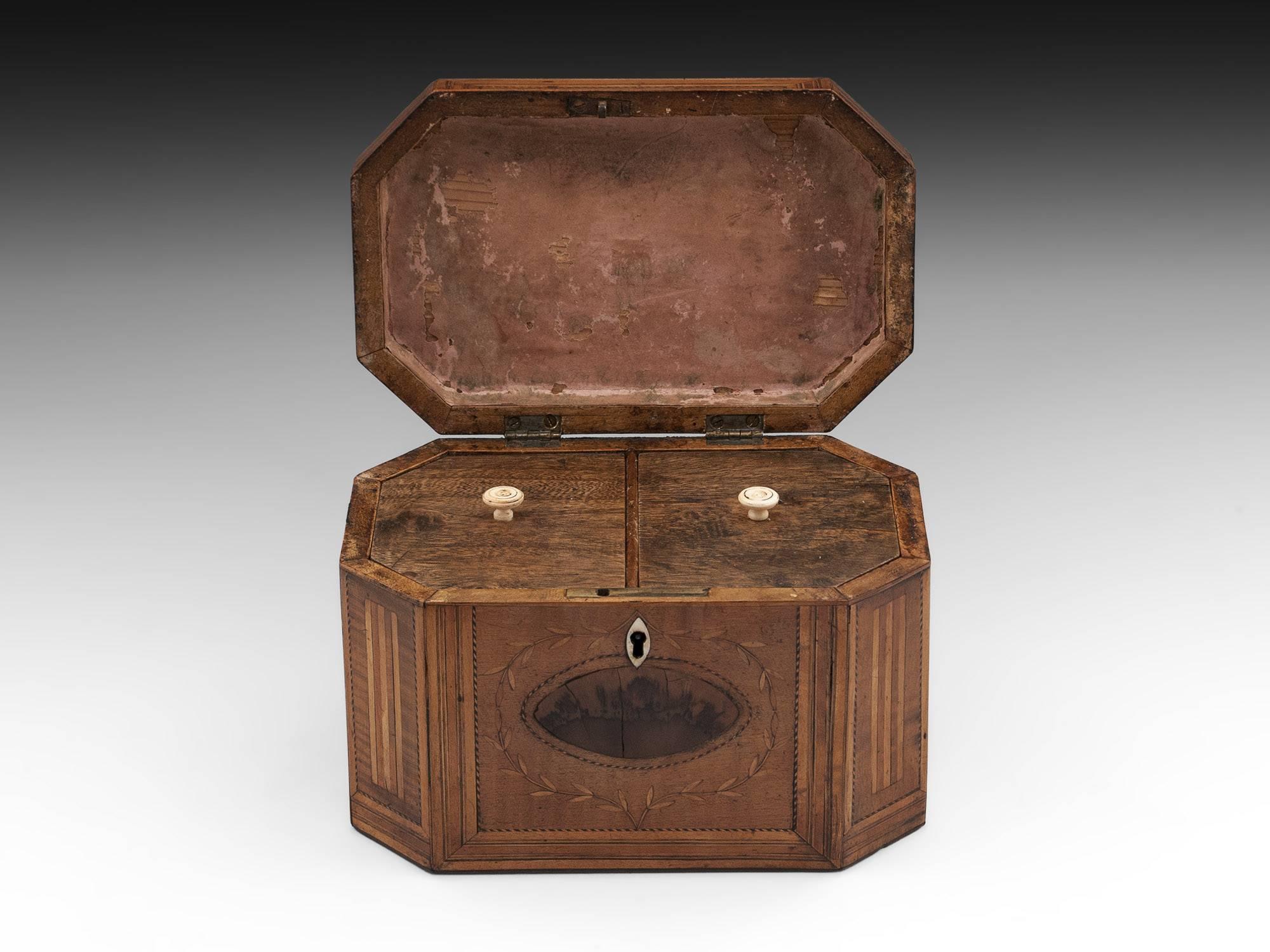 18th Century and Earlier Antique Georgian Harewood Tea Caddy with Blackthorn Oysters, 18th Century