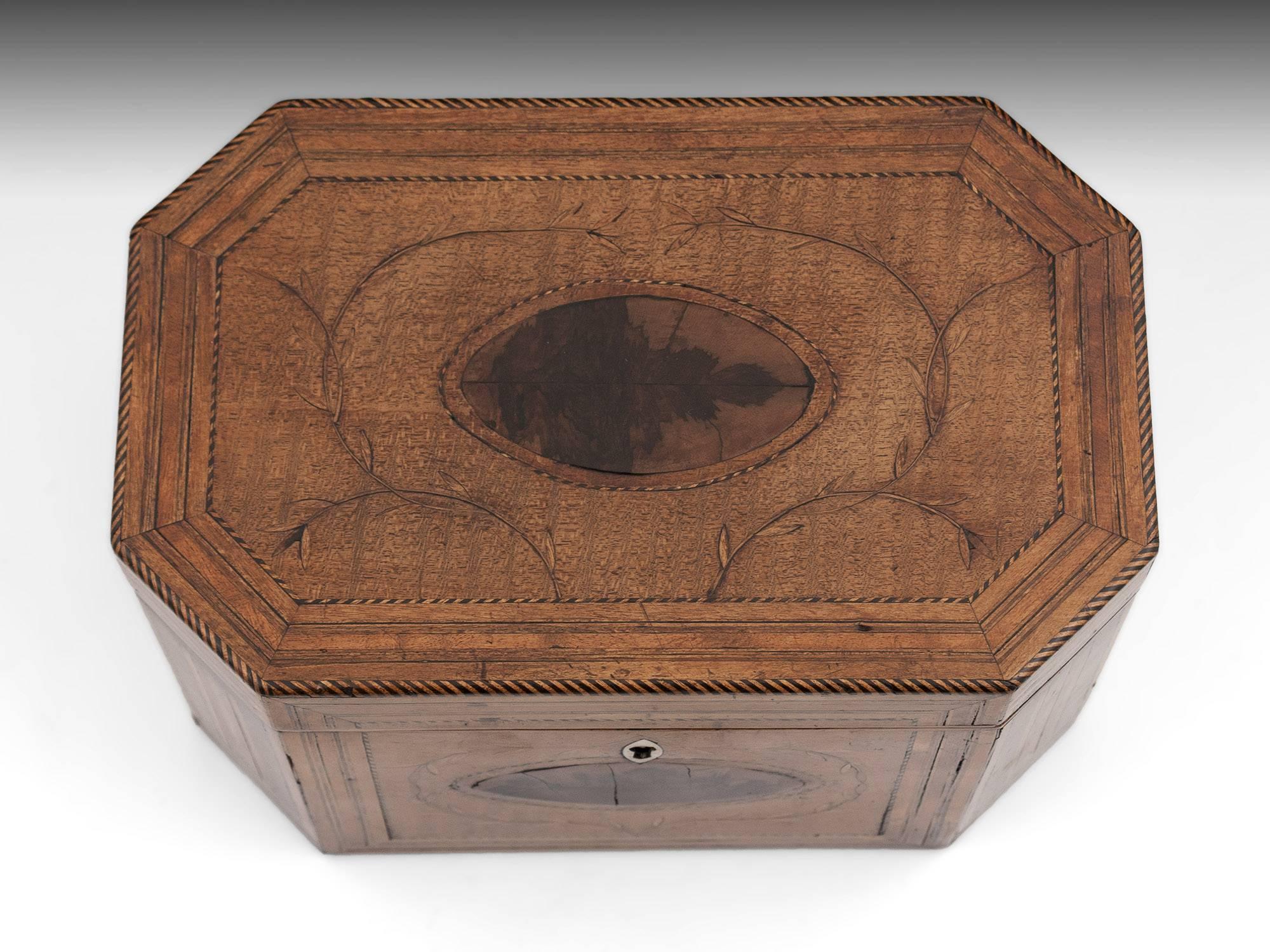 George III Antique Georgian Harewood Tea Caddy with Blackthorn Oysters, 18th Century