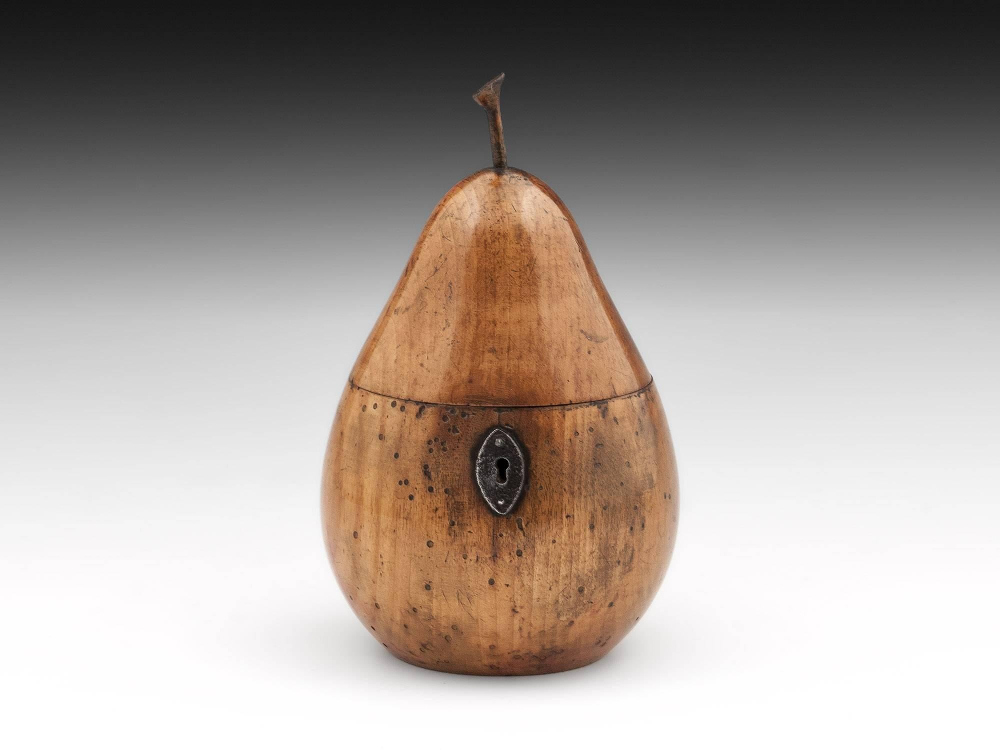 Antique Treen Pear fruit tea caddy with wonderful patination, shaped stalk and oval cut steel escutcheon. The pear has had some worm over the years which has been treated, despite this it has a wonderful color with some red blushes to its body and