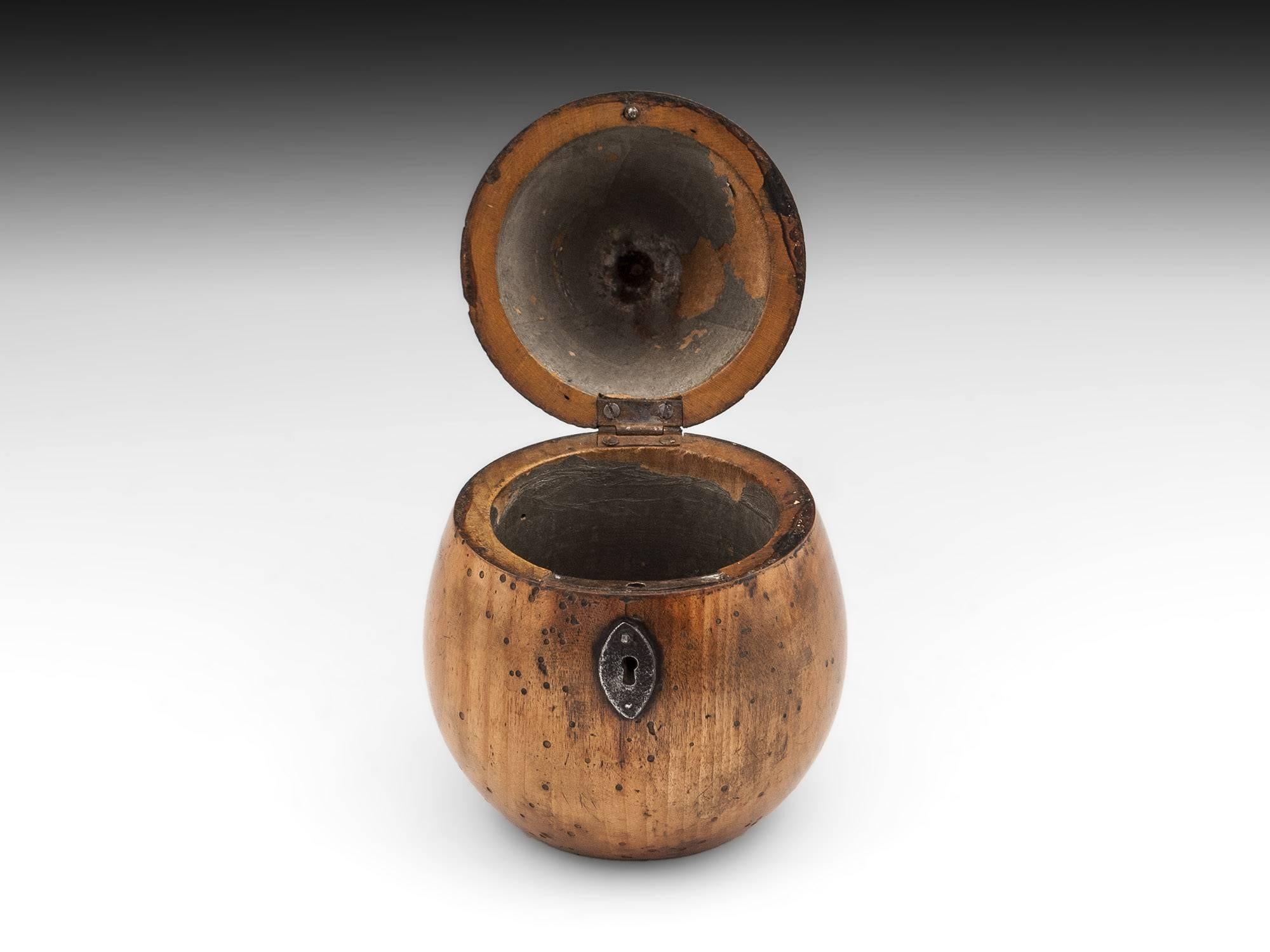 Antique Treen Pear Fruit Tea Caddy 19th Century In Good Condition In Northampton, United Kingdom