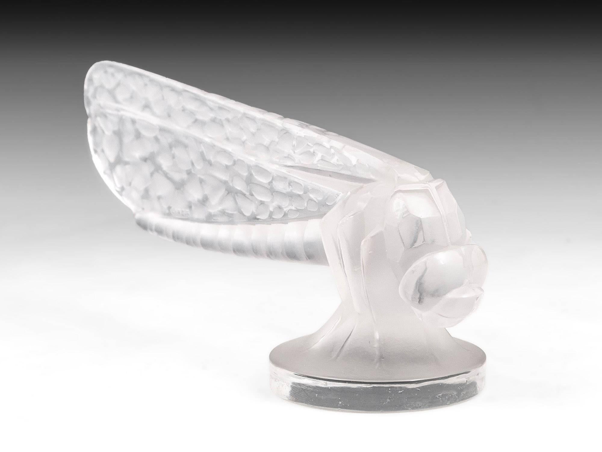 20th Century Rene Lalique Petite Libellule Small Dragonfly Car Mascot