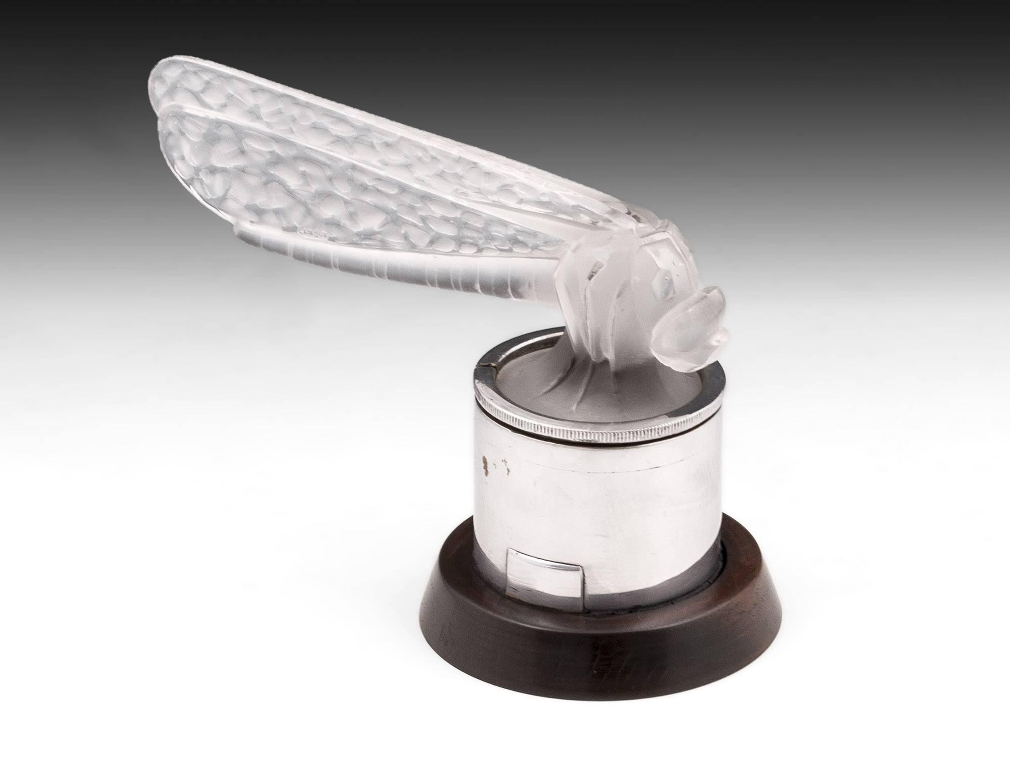 Lalique Petite Libellule / Small Dragonfly car mascot. Model Number: 1144 Mounted in a Chrome radiator cap on a turned wooden base. This is in A1 Condition and a truly great rare example. 

These wonderful glass Lalique car mascots originally