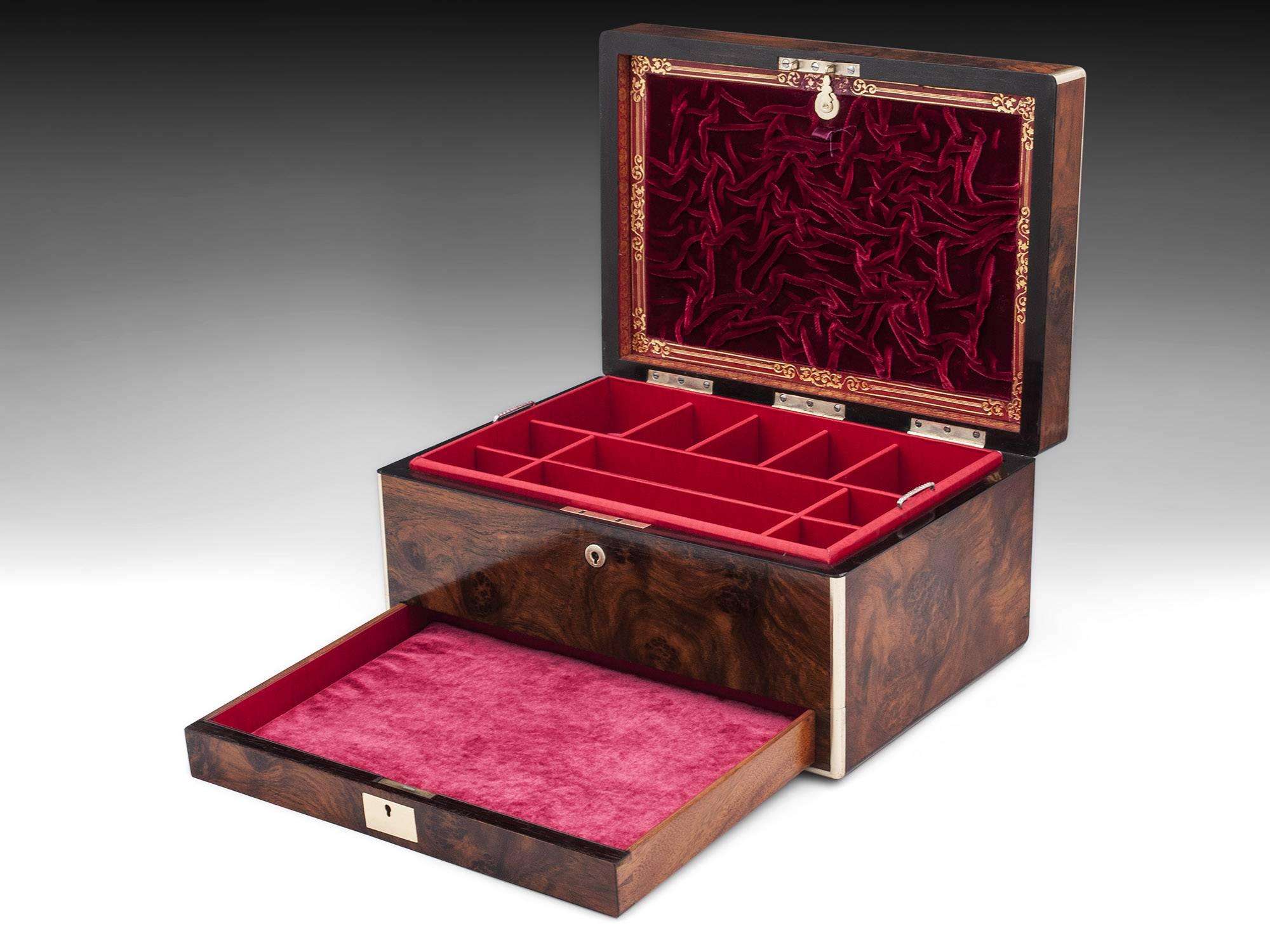 Amboyna Brass Bound Velvet Lined Antique Jewelry Box, 19th Century 5
