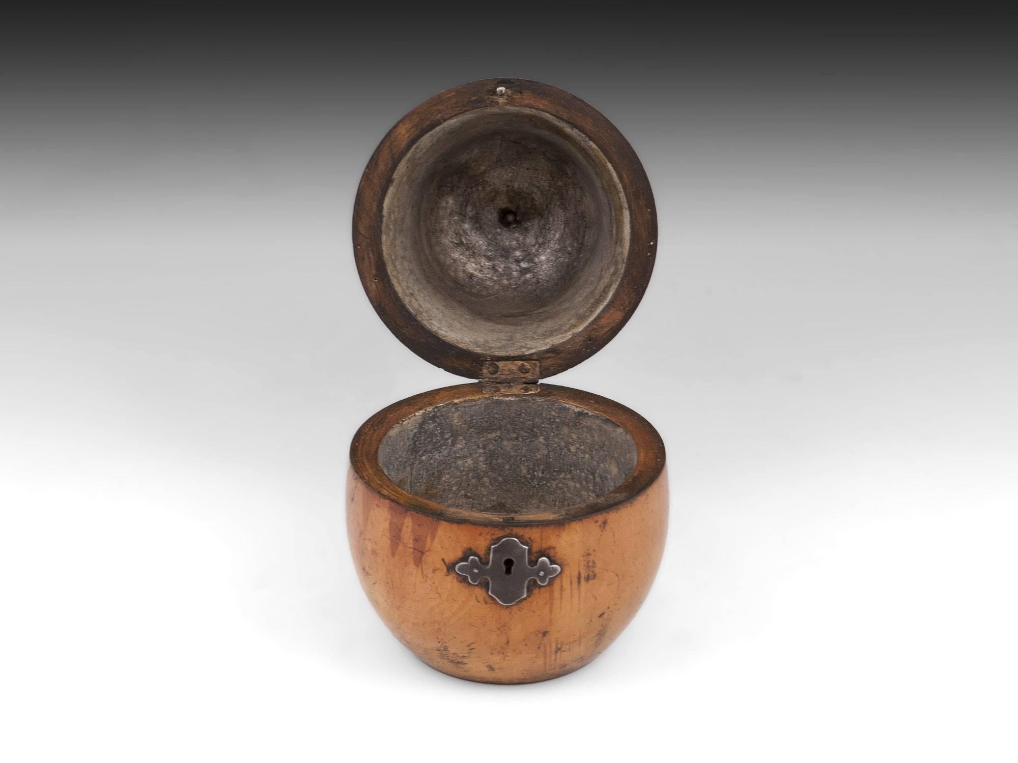 Antique Fruit Wood Treen Pear Tea Caddy, Early 19th Century 1