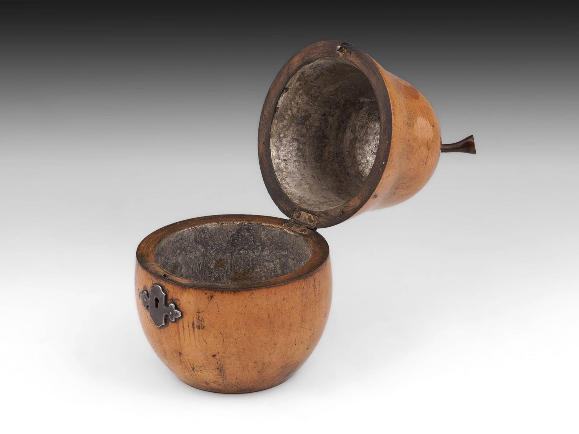 Antique Fruit Wood Treen Pear Tea Caddy, Early 19th Century 2