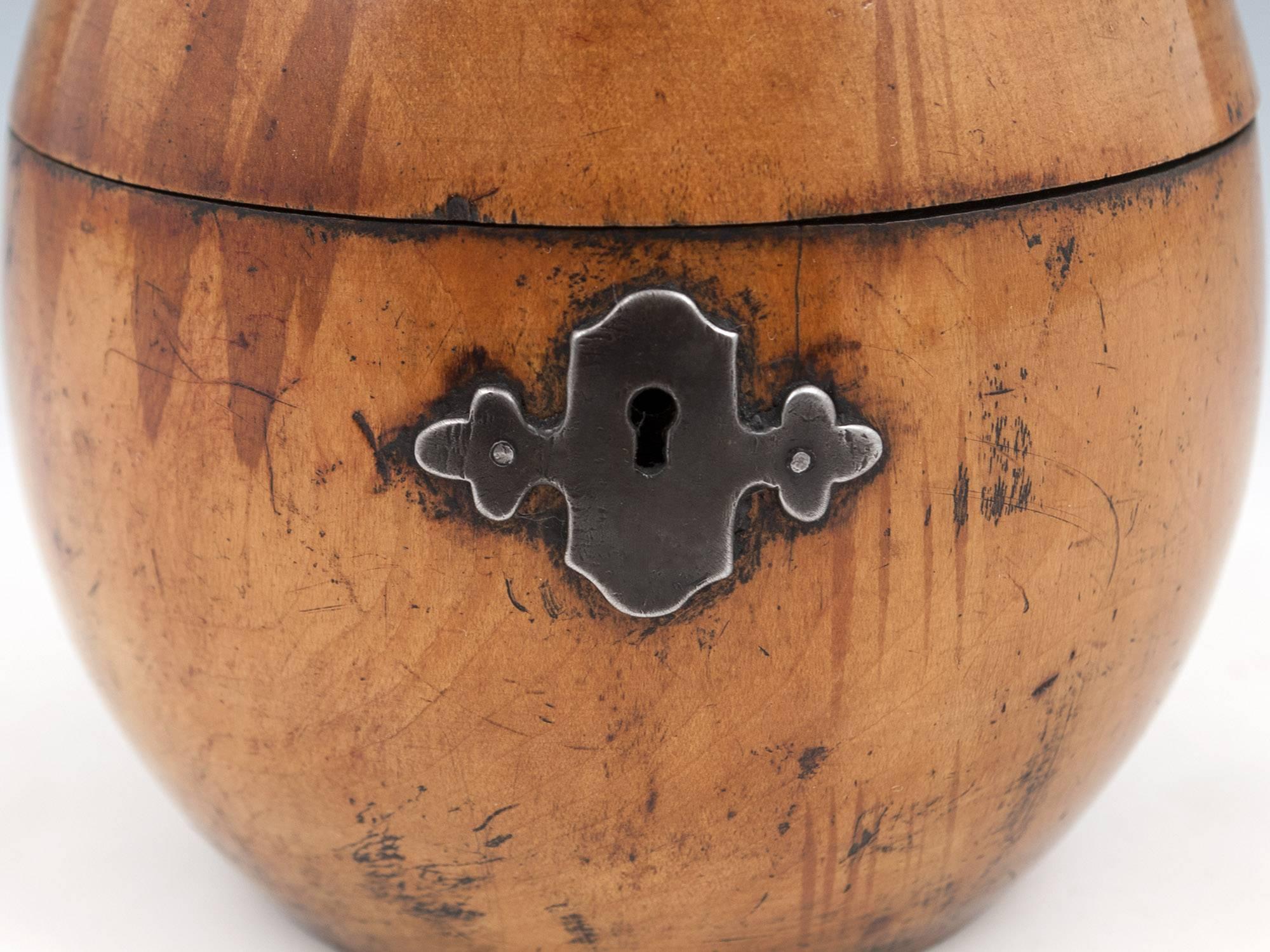 Steel Antique Fruit Wood Treen Pear Tea Caddy, Early 19th Century