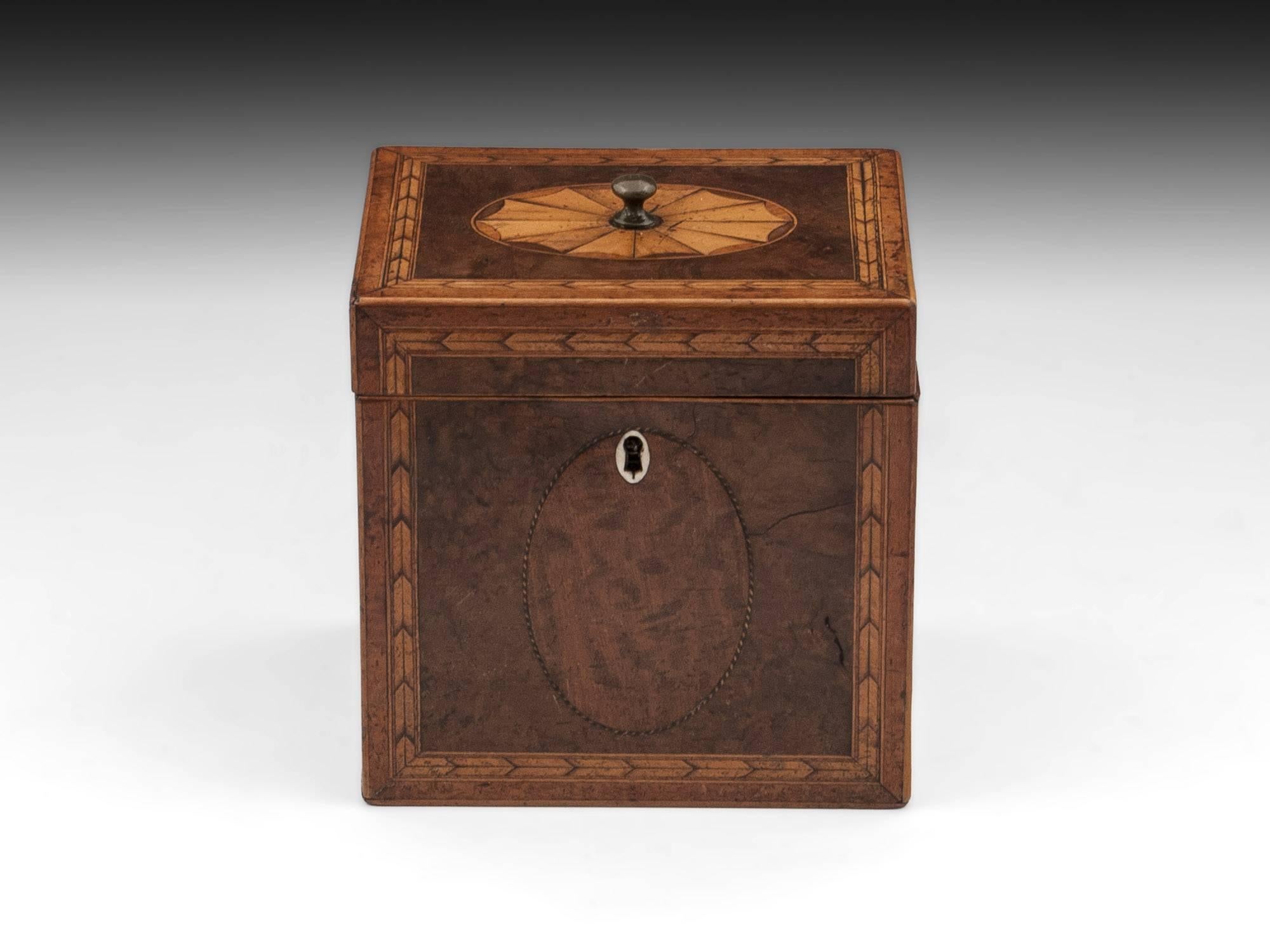 Antique single Tea Caddy veneered in stunning burr yew with inlaid oval fan to the top and herringbone inlay mirroring the front with a brass handle in the center to help to lift the lid, the front has a delicate oval bone escutcheon / key profile.
