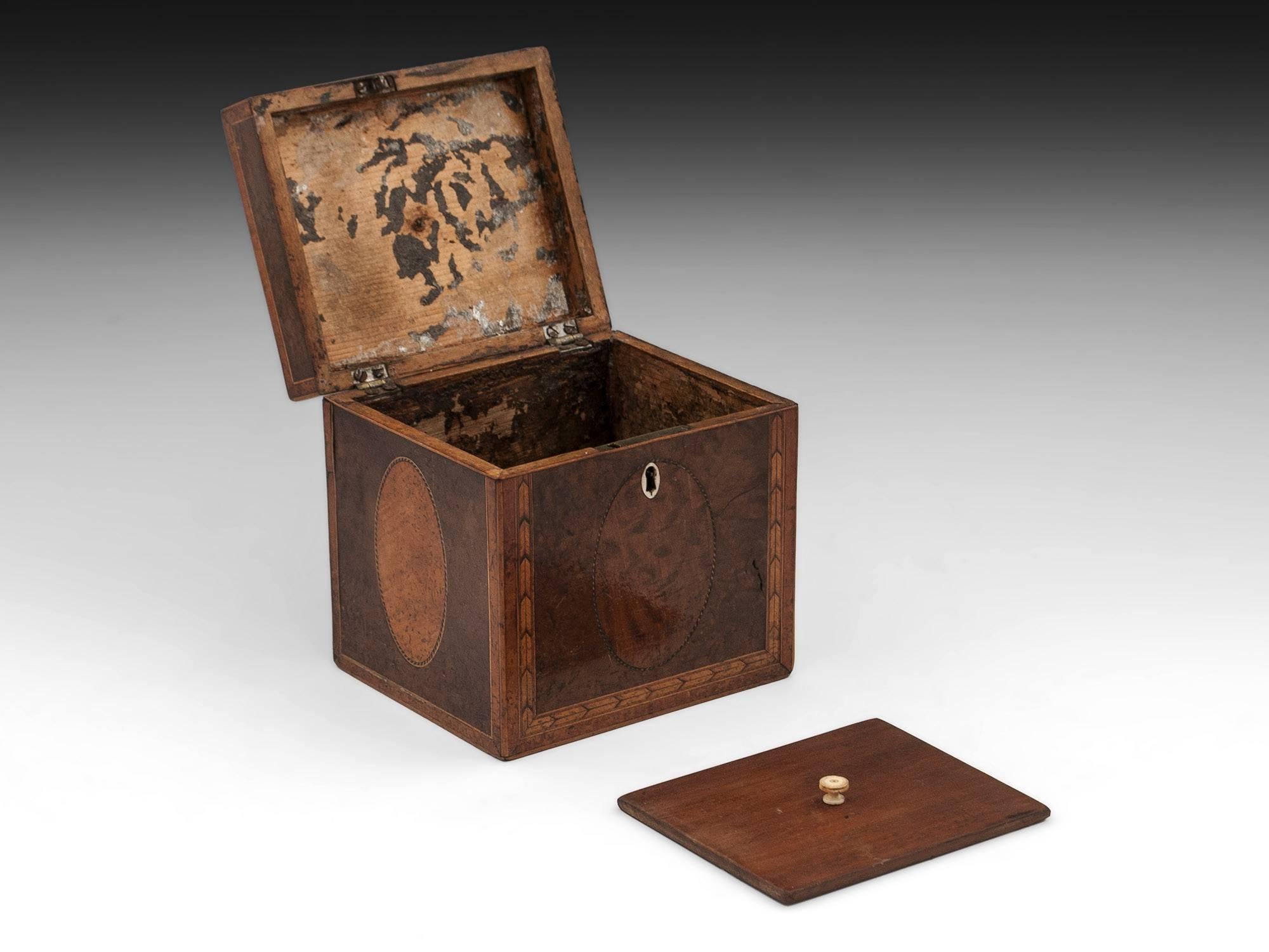 18th Century and Earlier Georgian Antique Single Burr Yew Tea Caddy, 18th Century