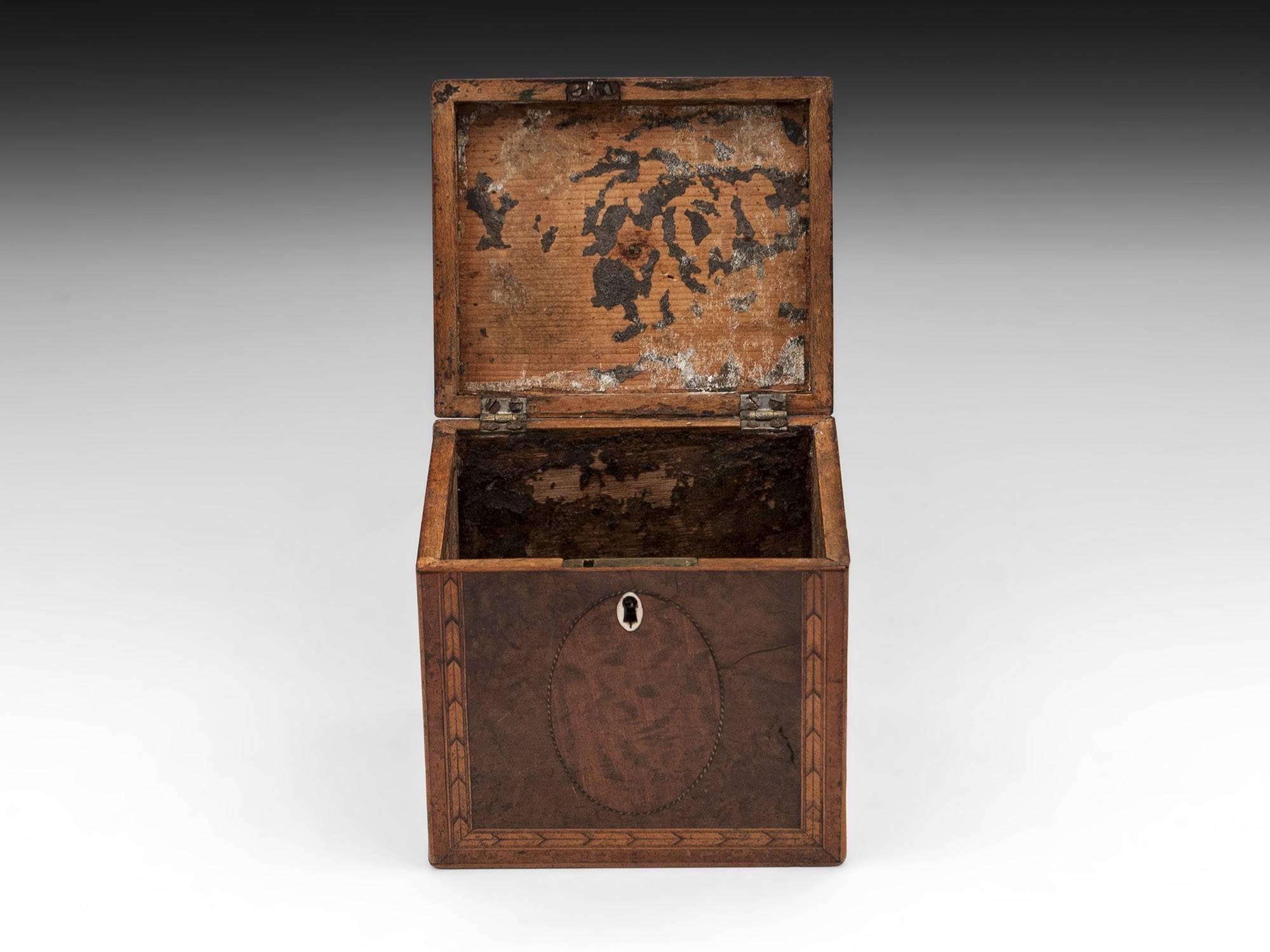 British Georgian Antique Single Burr Yew Tea Caddy, 18th Century