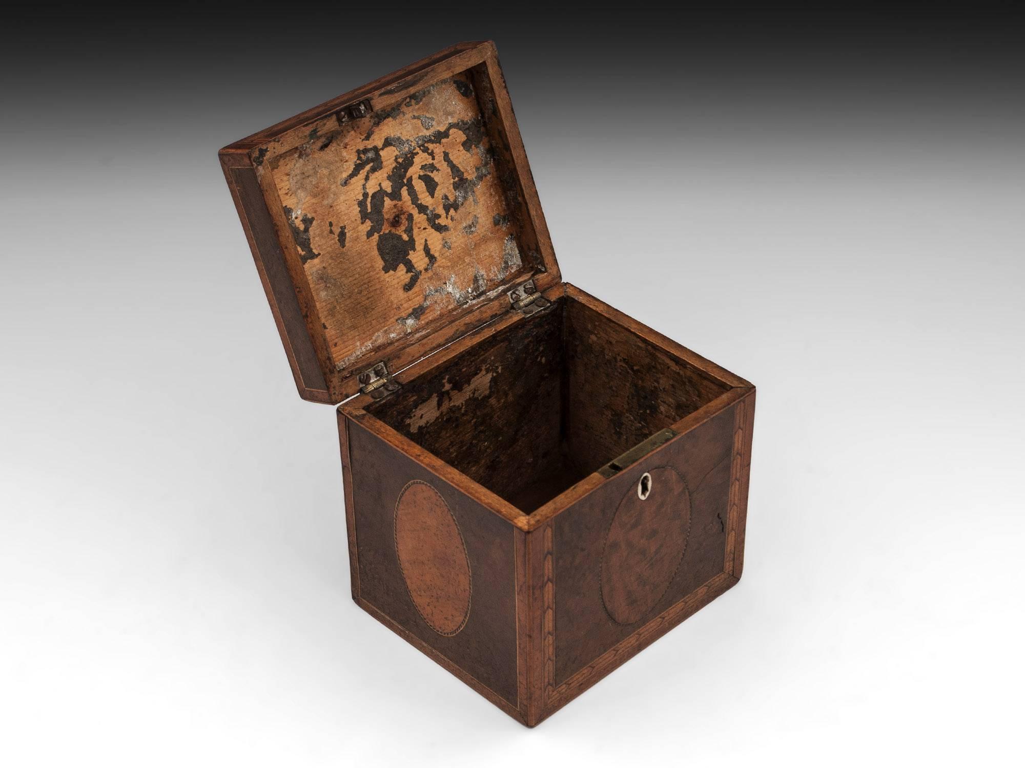 Georgian Antique Single Burr Yew Tea Caddy, 18th Century In Good Condition In Northampton, United Kingdom