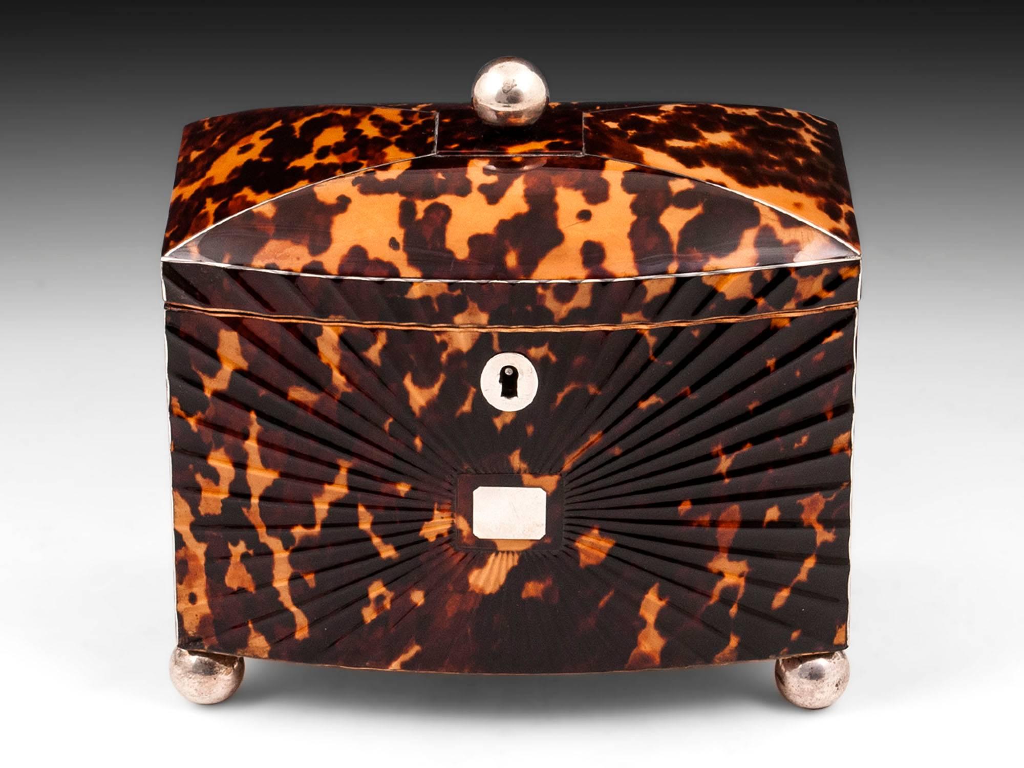 Stunning Regency starburst pressed bow fronted Tortoiseshell tea caddy, with silver initial plate to the centre of the star burst front and silver plated ball feet and finial and silver ball feet.

The interior lid has a purple silk lid with the