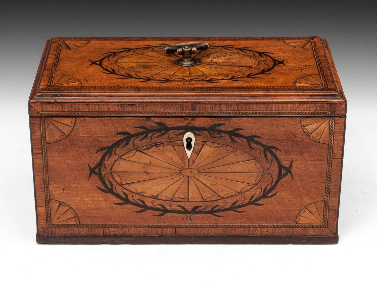 Satinwood Tea Caddy For Sale at 1stdibs