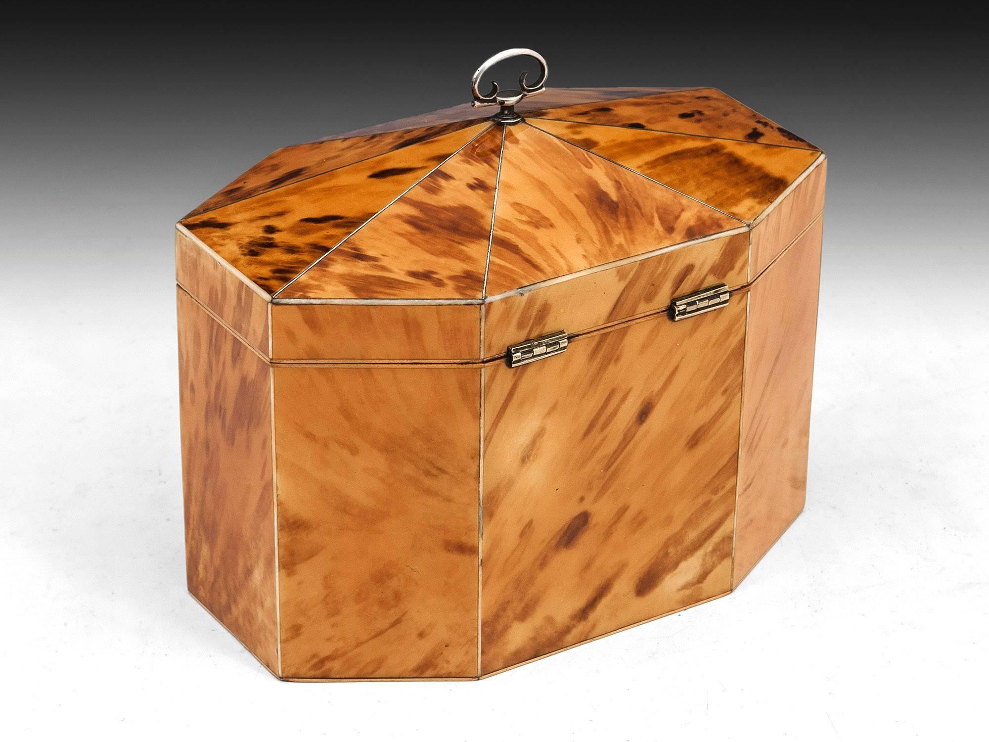 British Georgian Blonde Tortoiseshell Tea Caddy