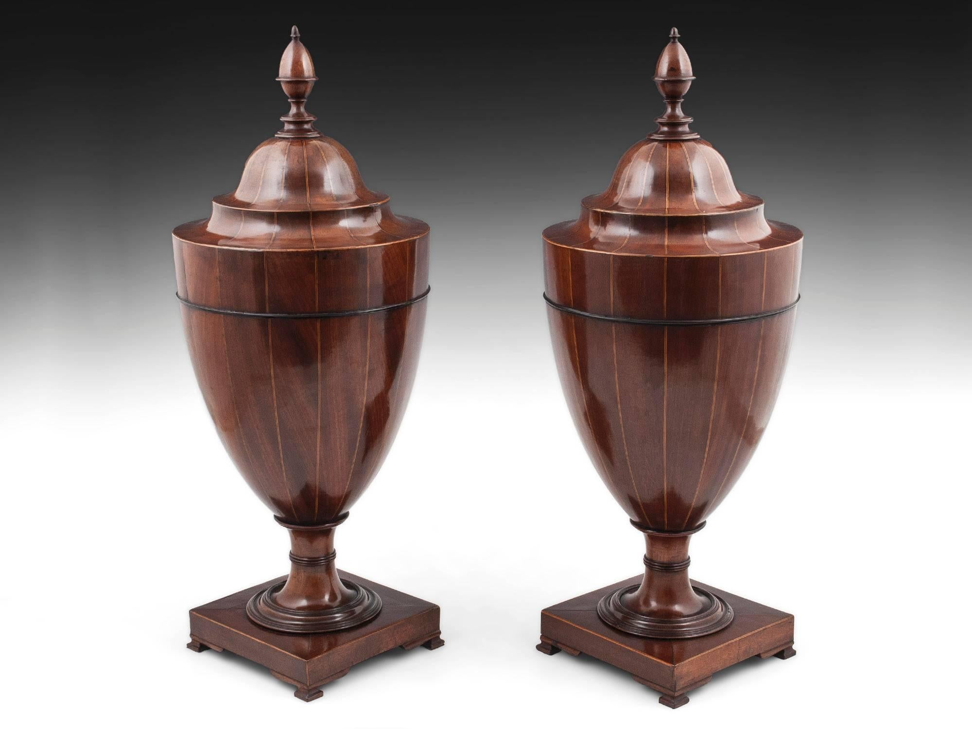 A stunning pair of Georgian cutlery urns with shaped mahogany panels, each separated by boxwood and ebony stringing. Sitting on a square plinth base, with boxwood edging, standing on Ogee shaped bracket feet and the top adorned with a turned acorn