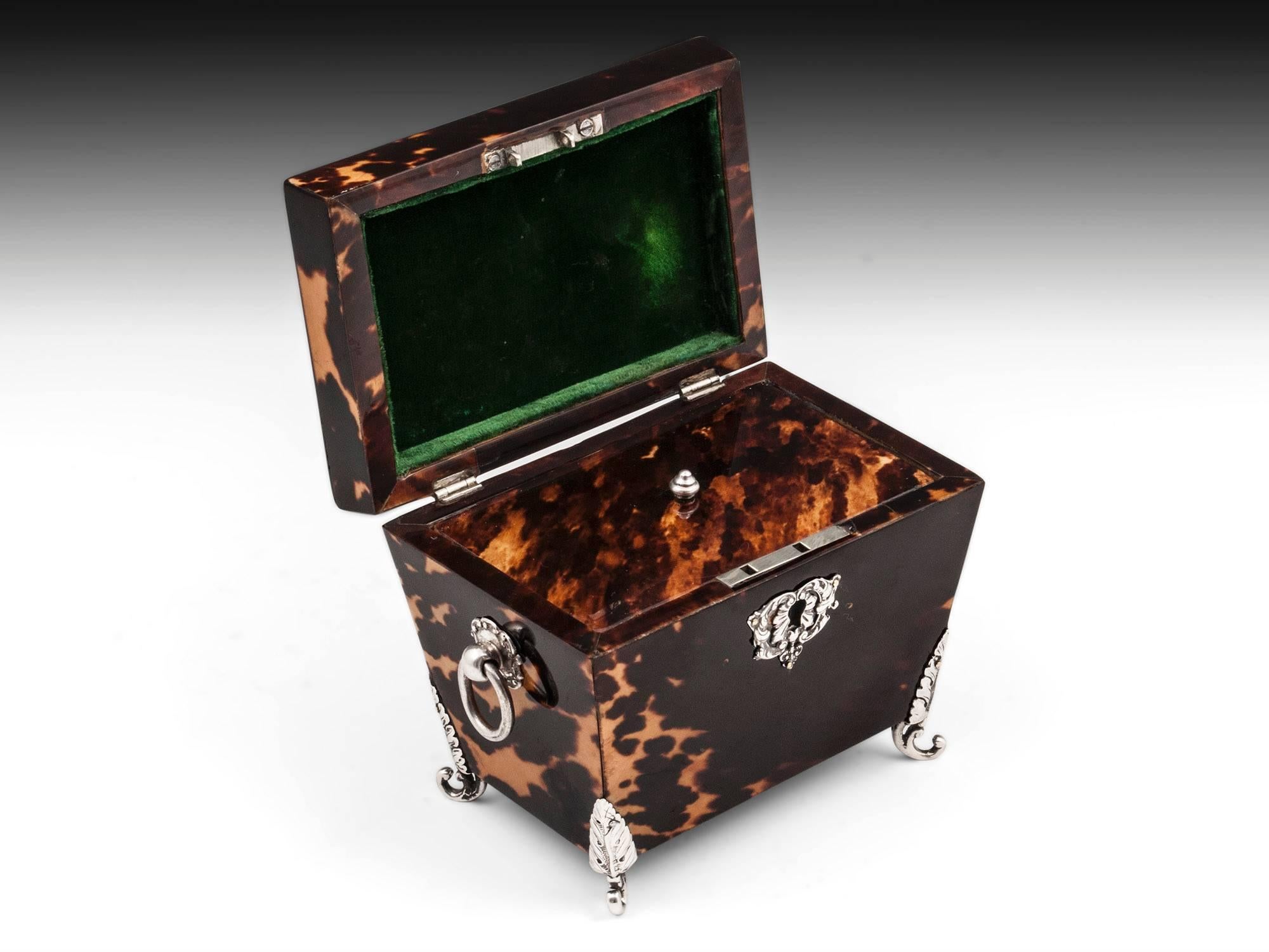 Antique Tortoiseshell and Silver Tea Caddy 1