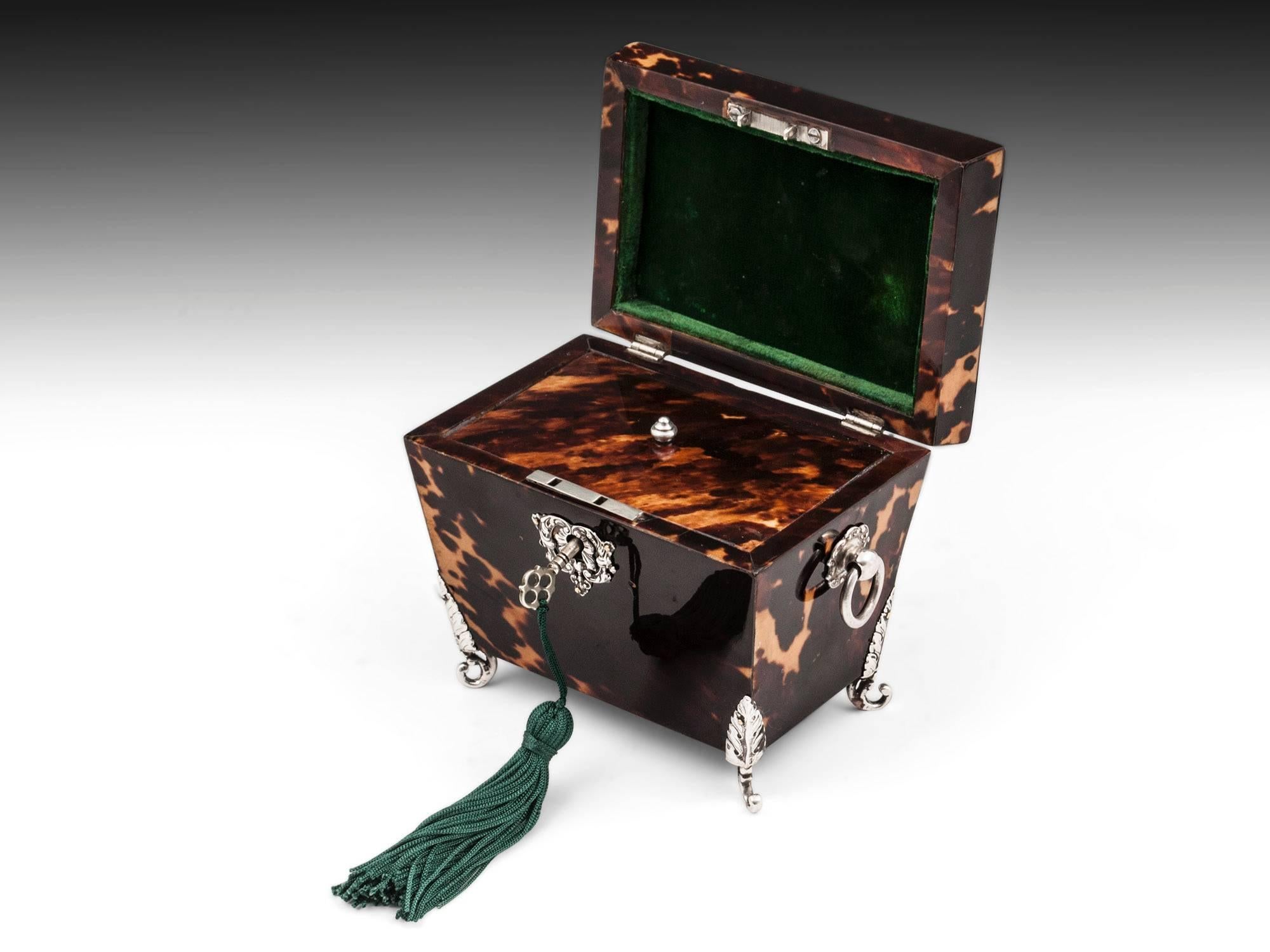 Antique Tortoiseshell and Silver Tea Caddy 4
