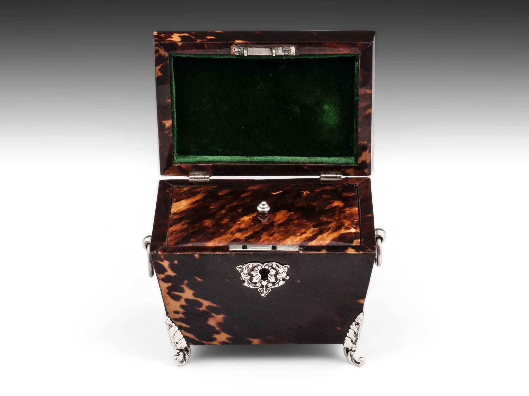 Antique Tortoiseshell and Silver Tea Caddy 2