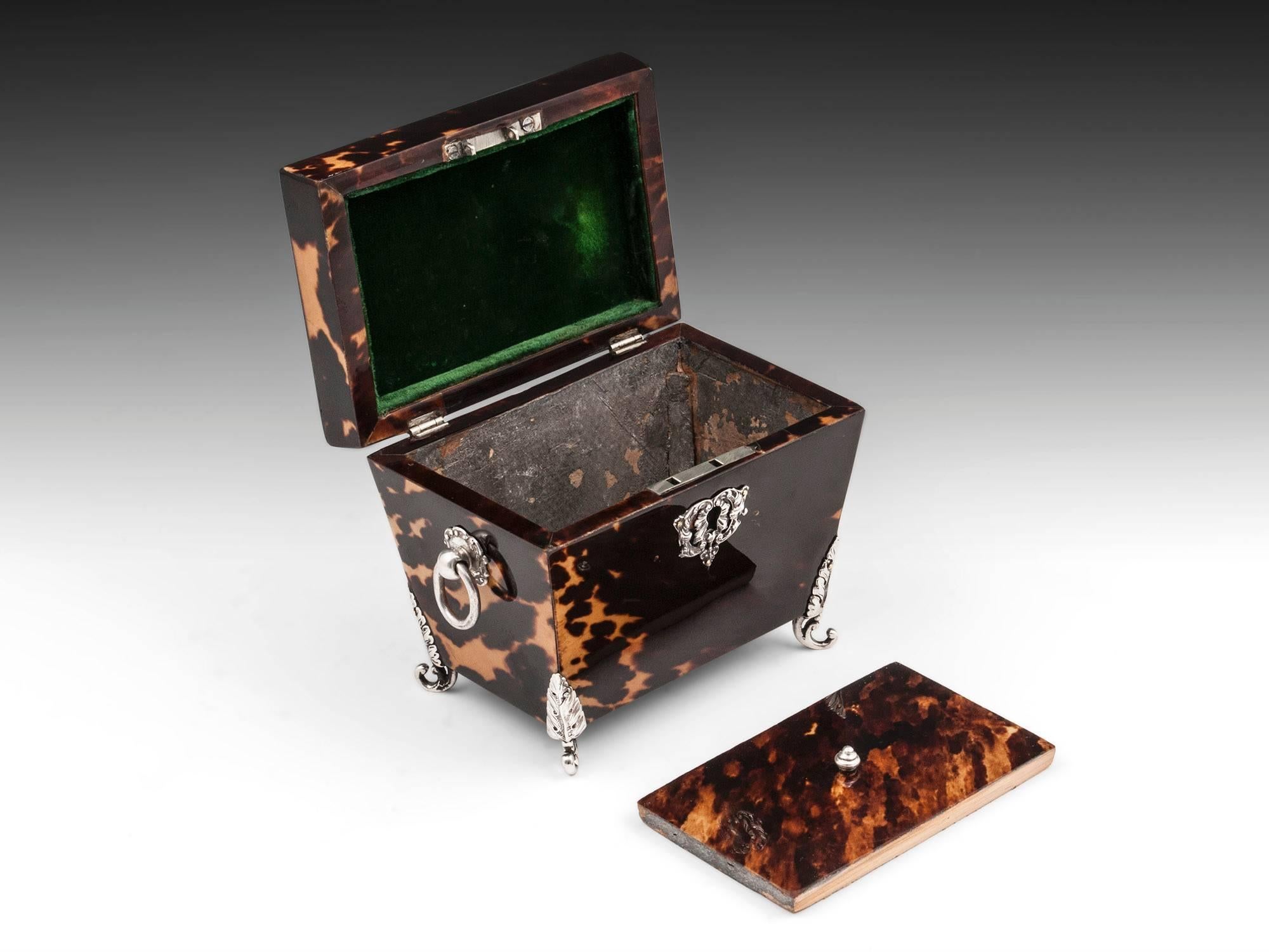 Antique Tortoiseshell and Silver Tea Caddy 3