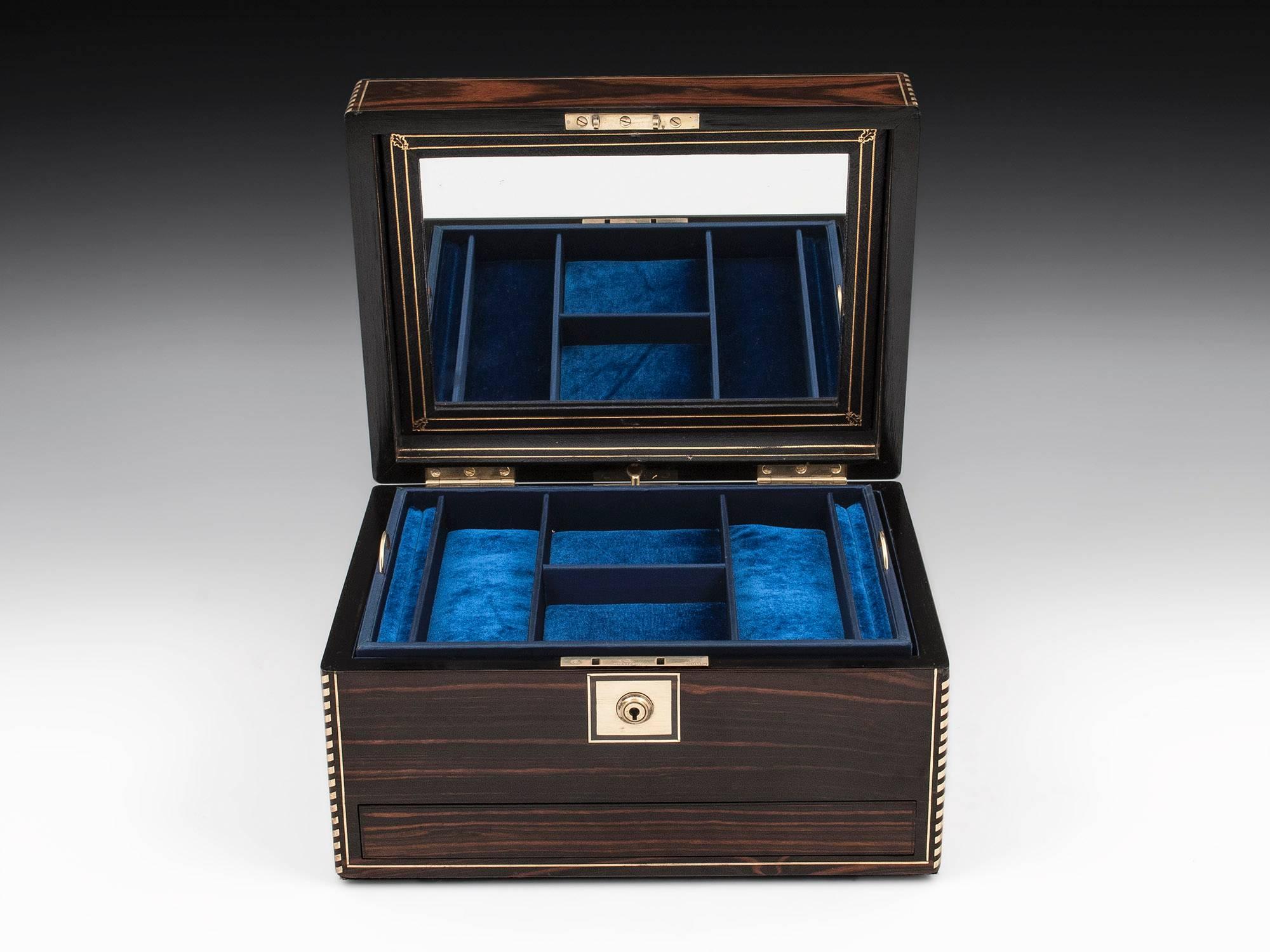 19th Century Antique Victorian Coromandel and Brass Jewelry Box 